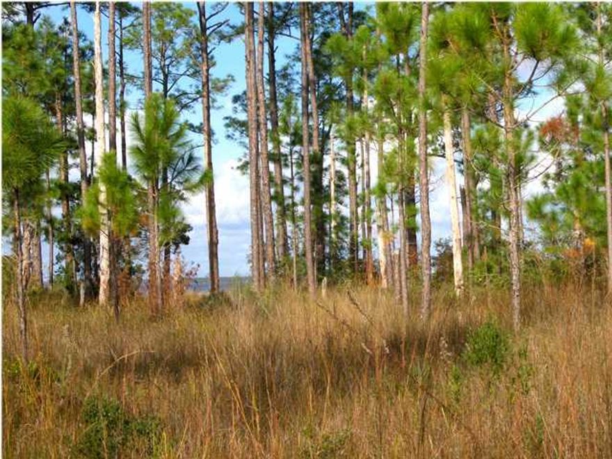 Lowest Priced Lot Directly on the Bay Reduced by $20,000 to make your Bay Front home a reality! Build your dream home on this wonderful large lot with expansive views of Choctawhatchee Bay. There is plenty of room on this lot to build whatever you desire with fabulous water views! Located on a paved cul-de-sac street with nice homes surrounding. Great opportunity to live near shopping, dining, Grand Boulevard and the Gulf of Mexico in a quiet, private neighborhood. Sea wall already in place. Bring your boat to enjoy Choctawhatchee Bay and Hogtown Bayou around the corner as well as the beautiful Gulf of Mexico and Crab Island. No build out time restrictions!Come and enjoy the lifestyle everyone wants to vacation in!