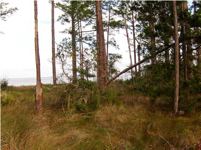 WHISPERING PINES - Land