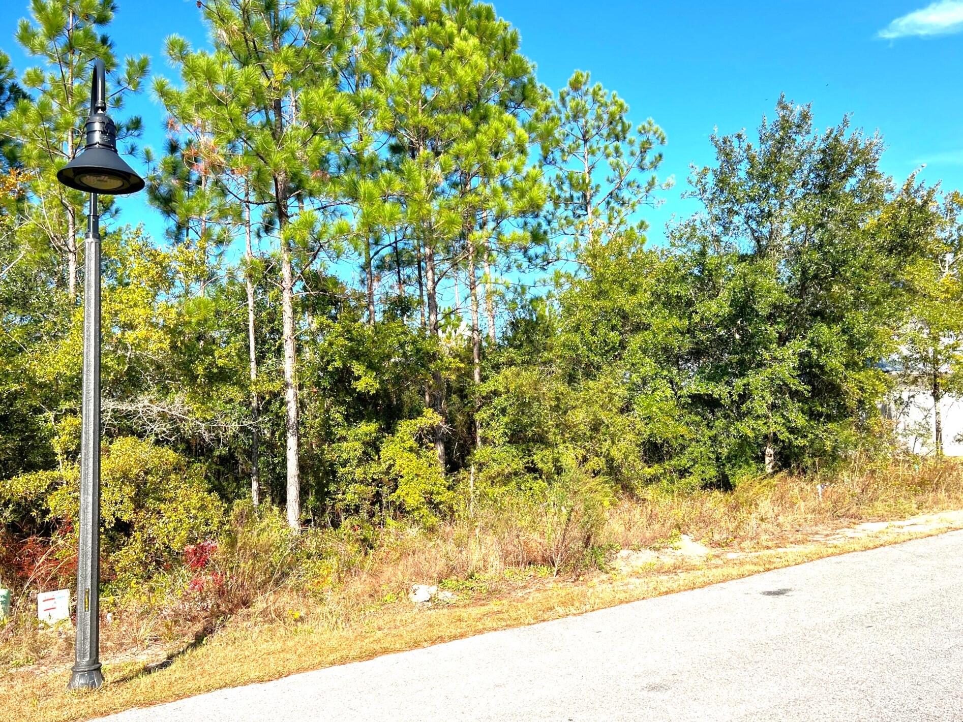 Bear Creek Cottages 1st Addition - Land