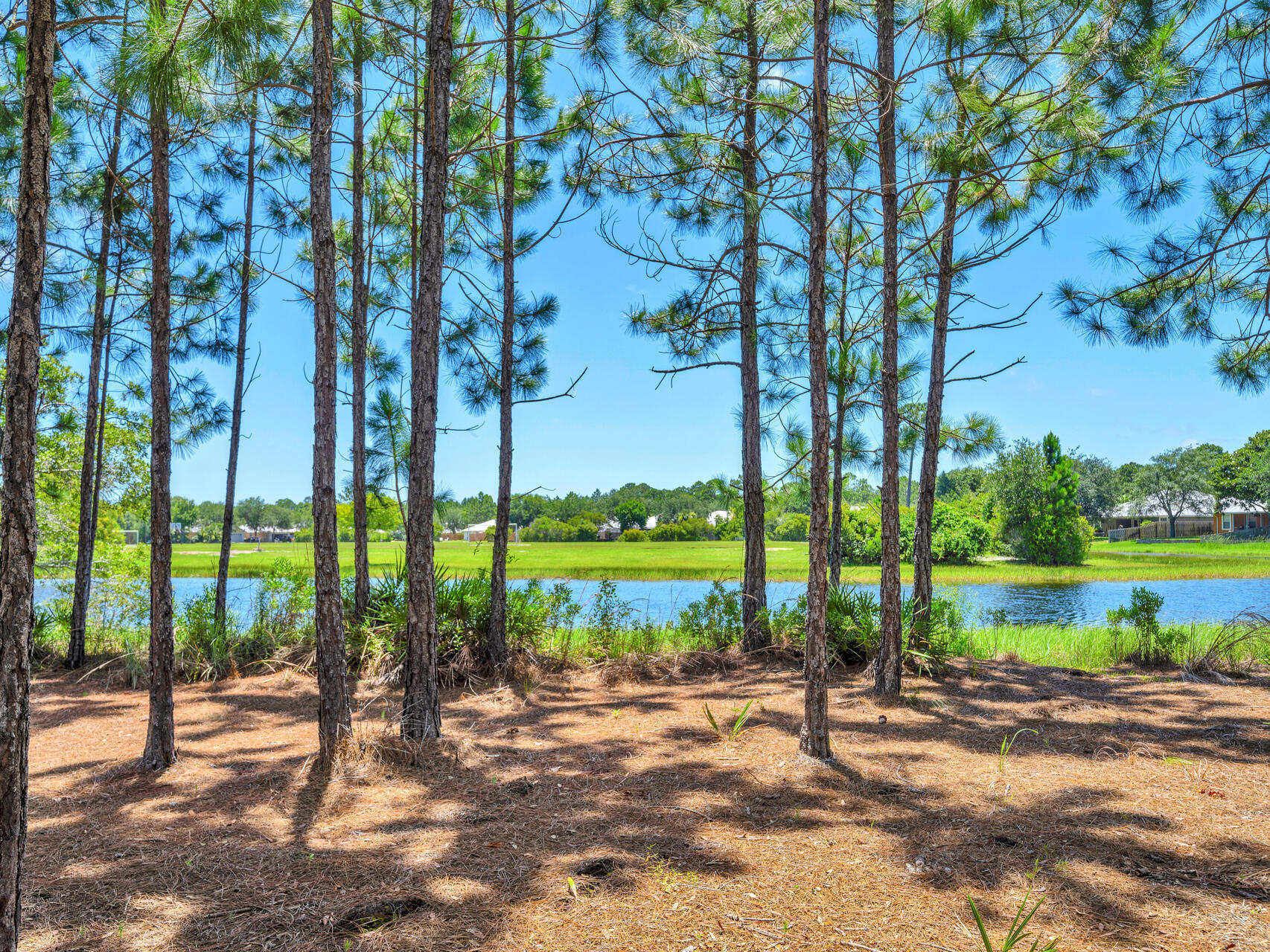 DRIFTWOOD ESTATES - Residential