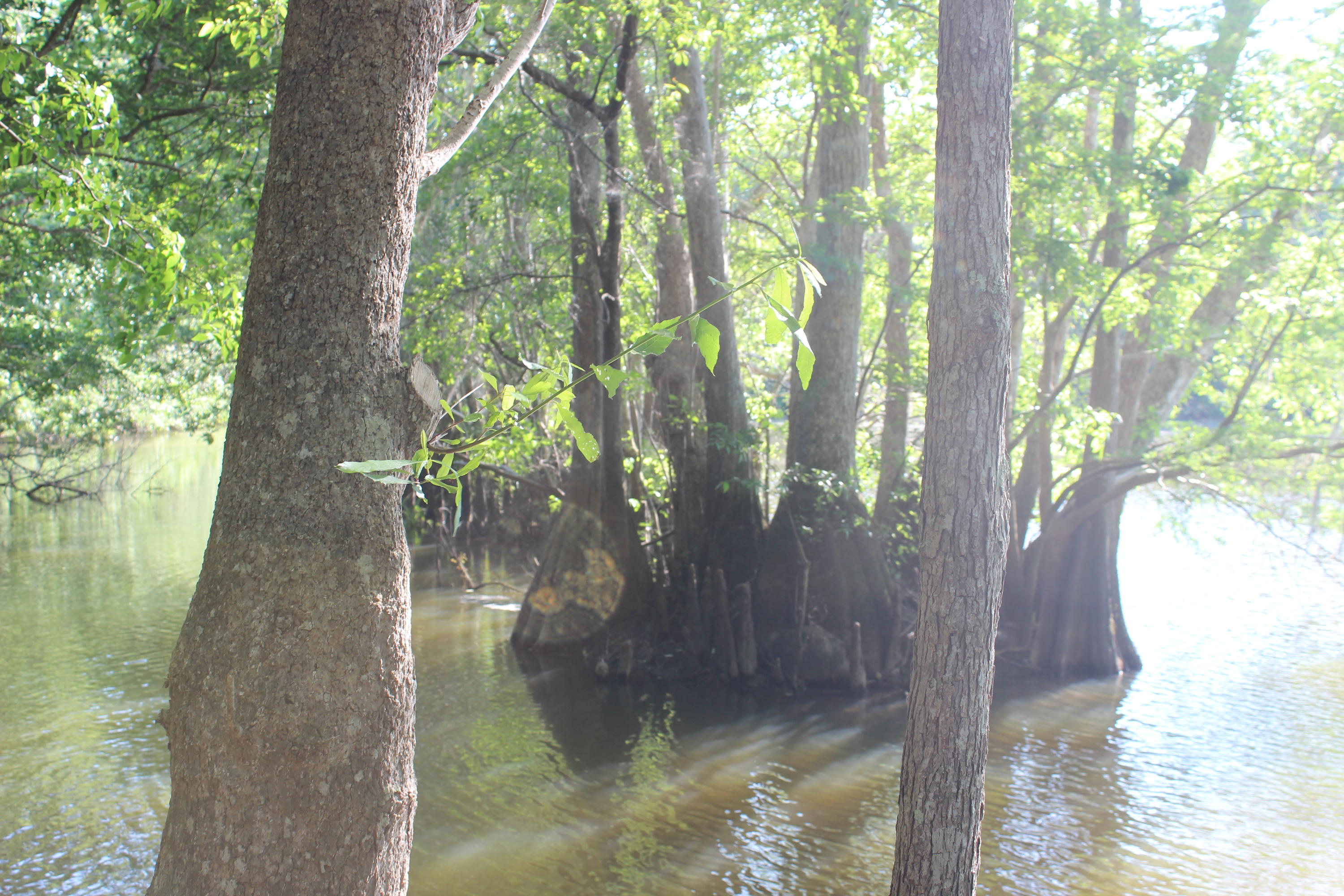 METES & BOUNDS , County , Unrestricted - Residential
