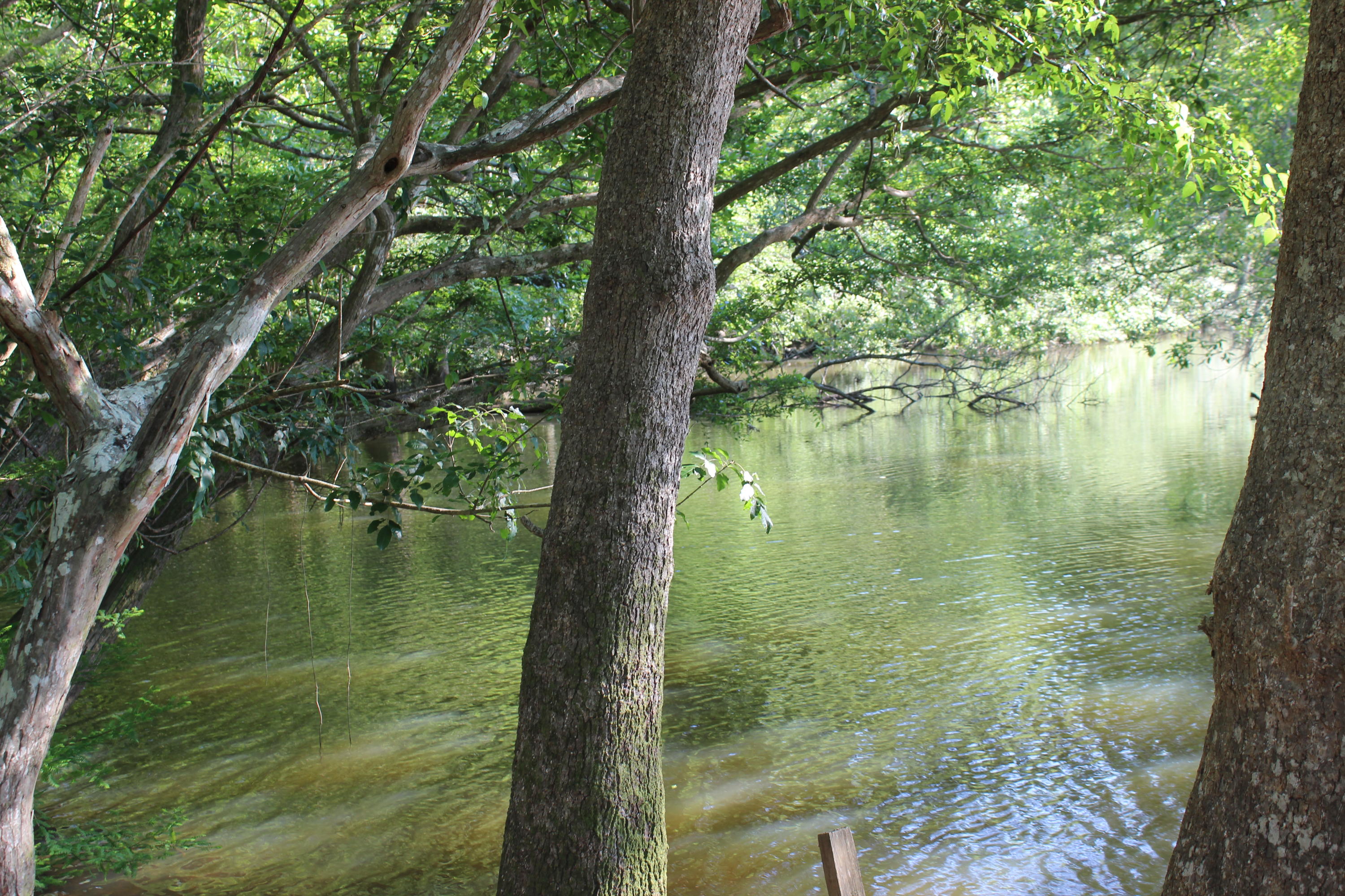 METES & BOUNDS , County , Unrestricted - Residential