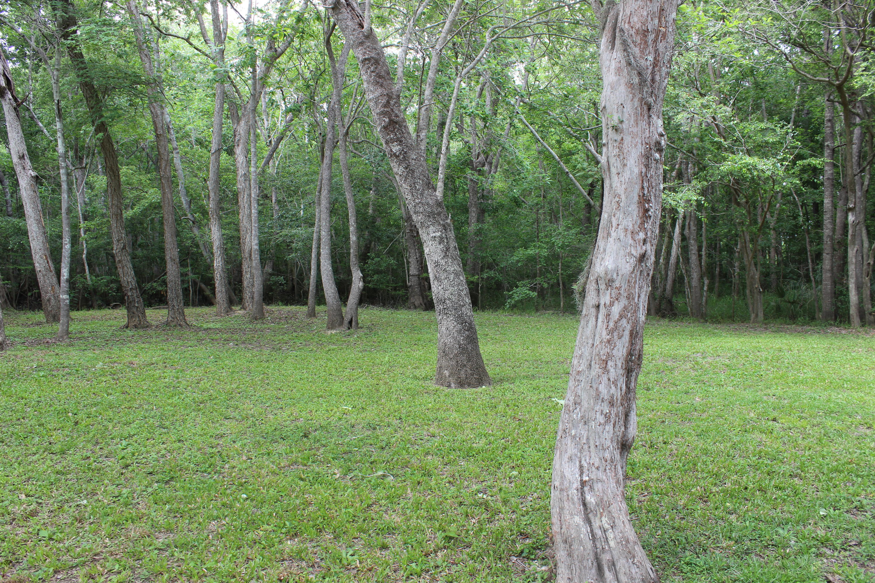 METES & BOUNDS , County , Unrestricted - Residential