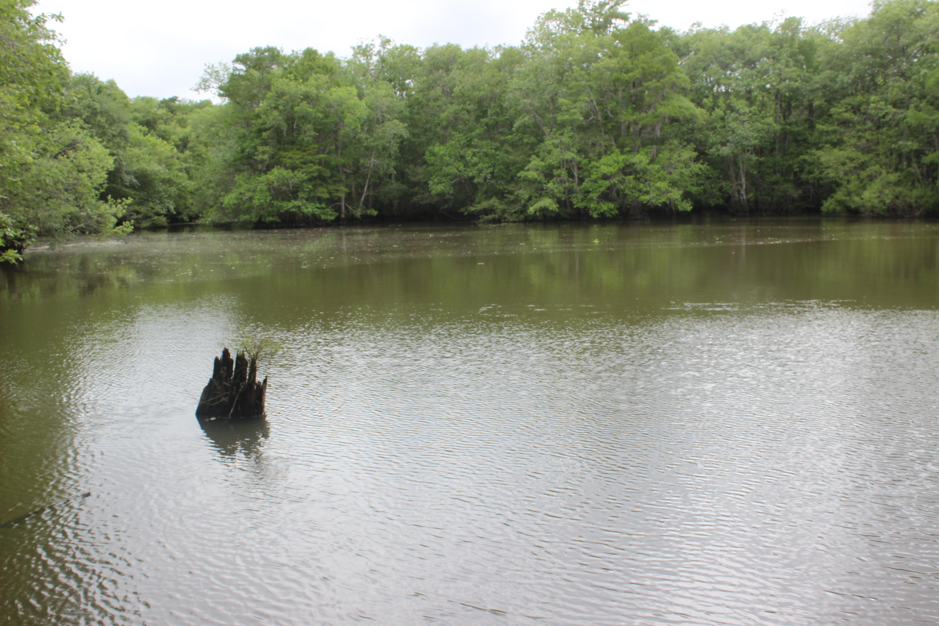 METES & BOUNDS , County , Unrestricted - Residential