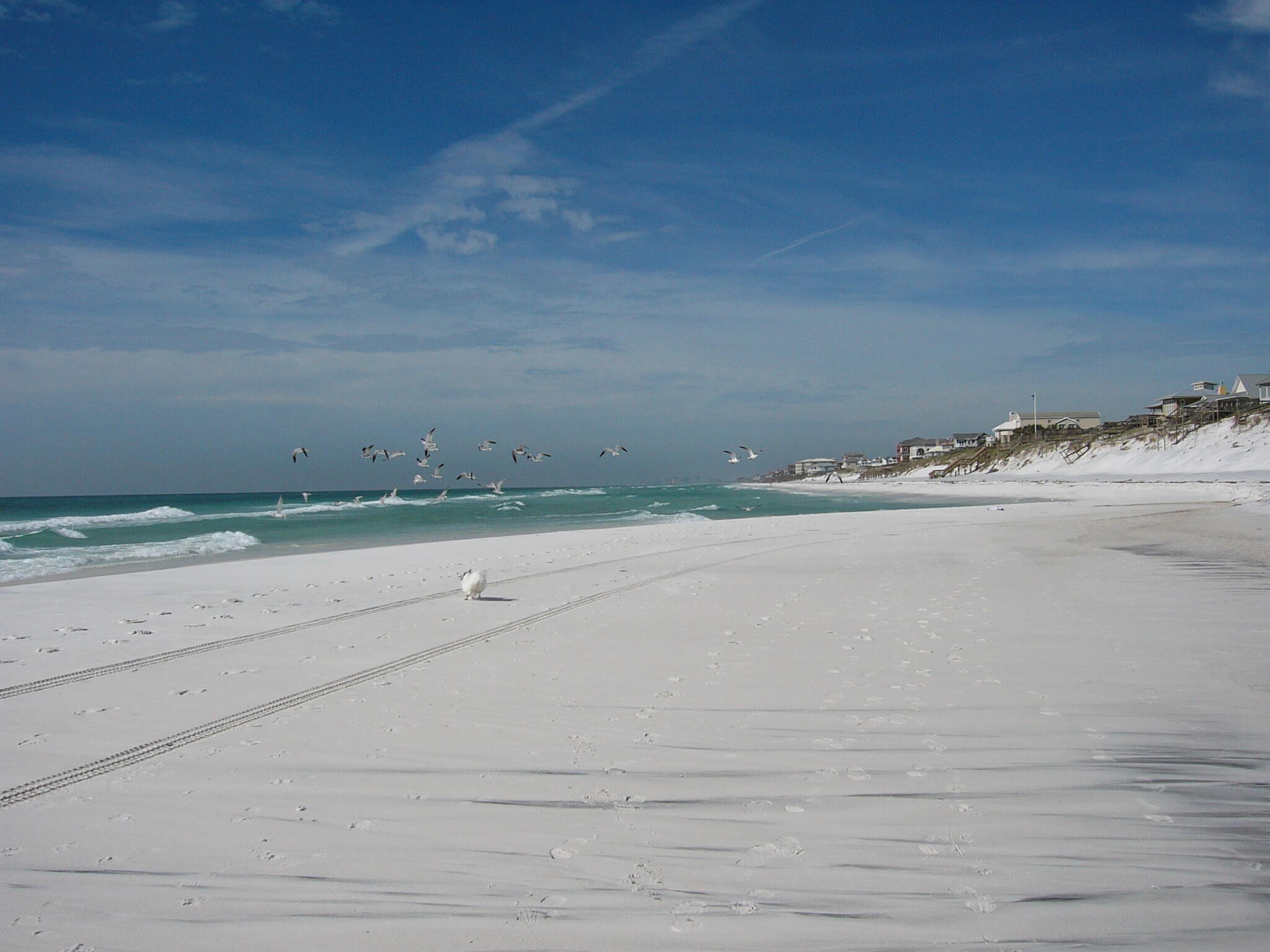 Paradise Cove - Residential