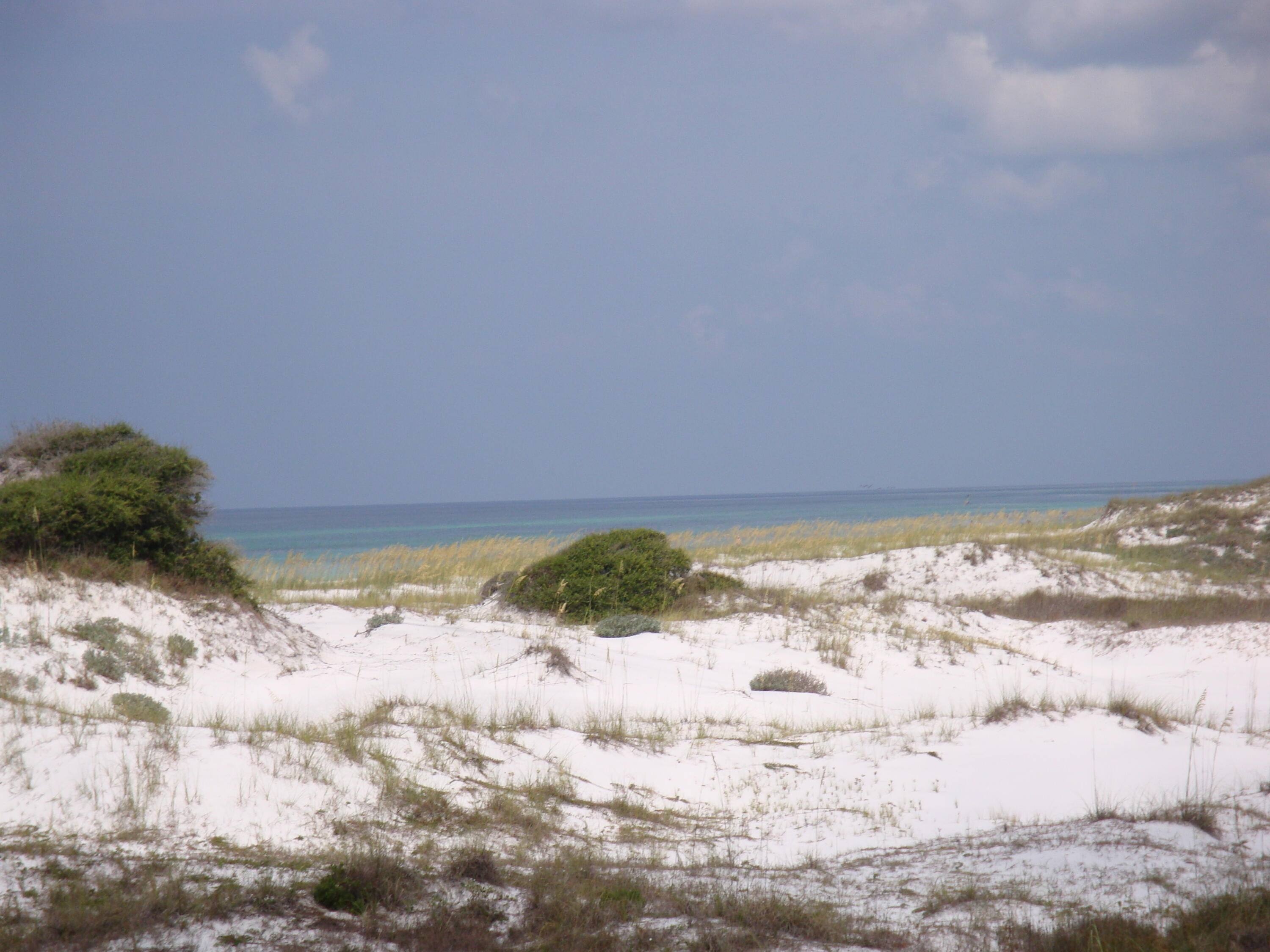 Paradise Cove - Residential