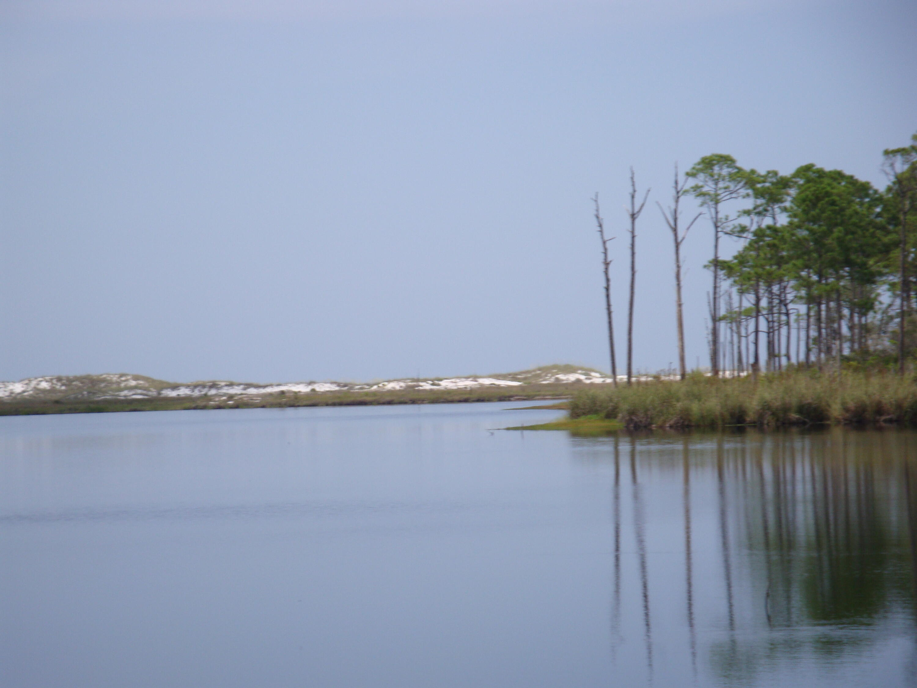 Paradise Cove - Residential