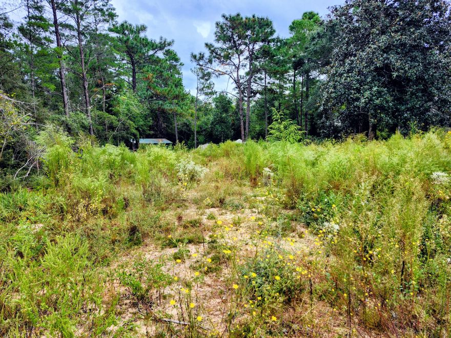 Large and newly cleared vacant lot! Utilities are at the road and the land is unrestricted. Mobile Homes are allowed and seller has a current survey!