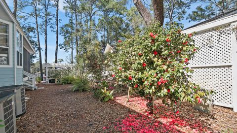 A home in Santa Rosa Beach