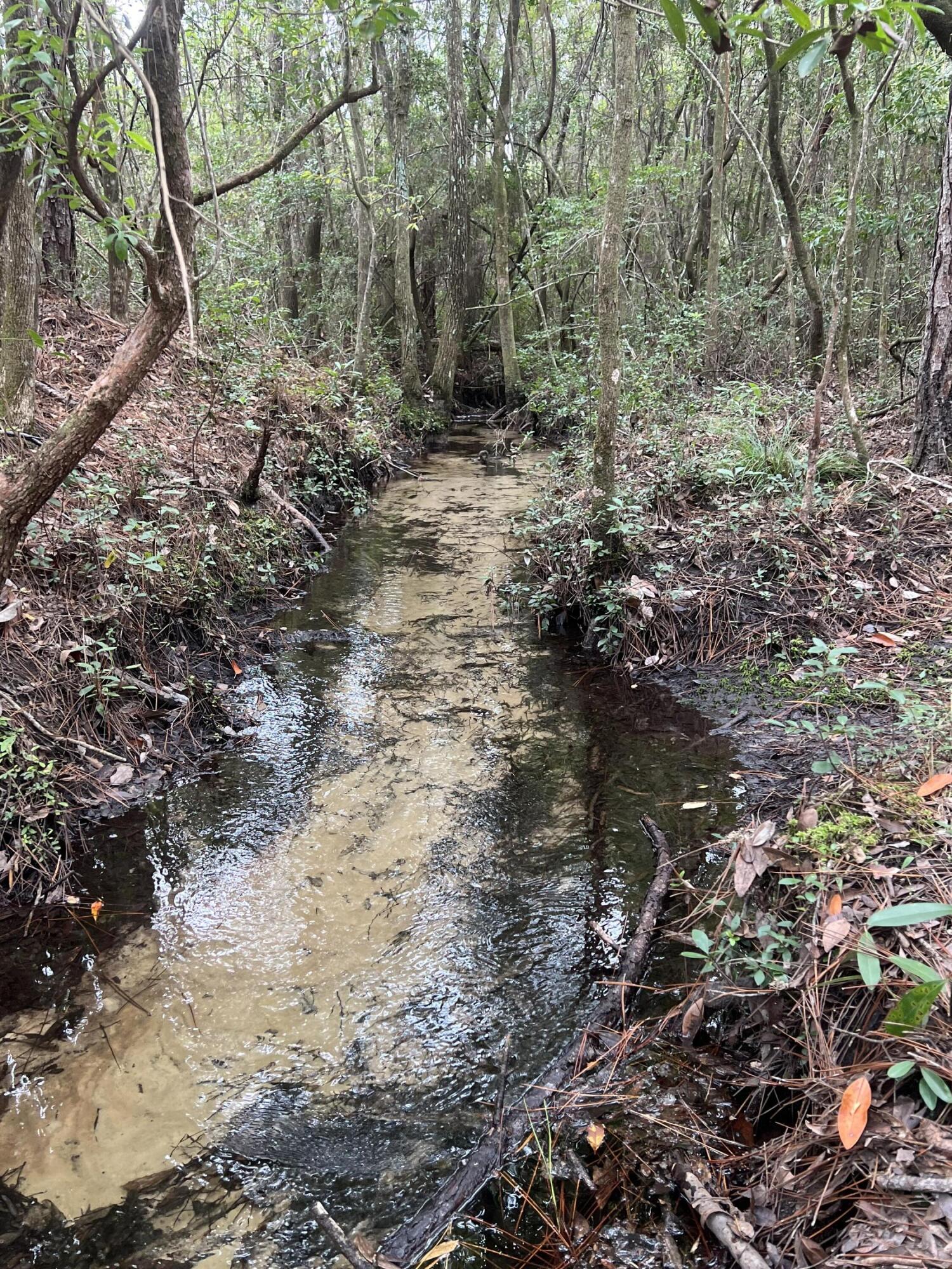 Quiet country setting with plenty of wildlife. These parcels are the perfect place to build your new home. Tranquil stream situated along the back of the 2nd parcel, allowing for maximum use of your investment.