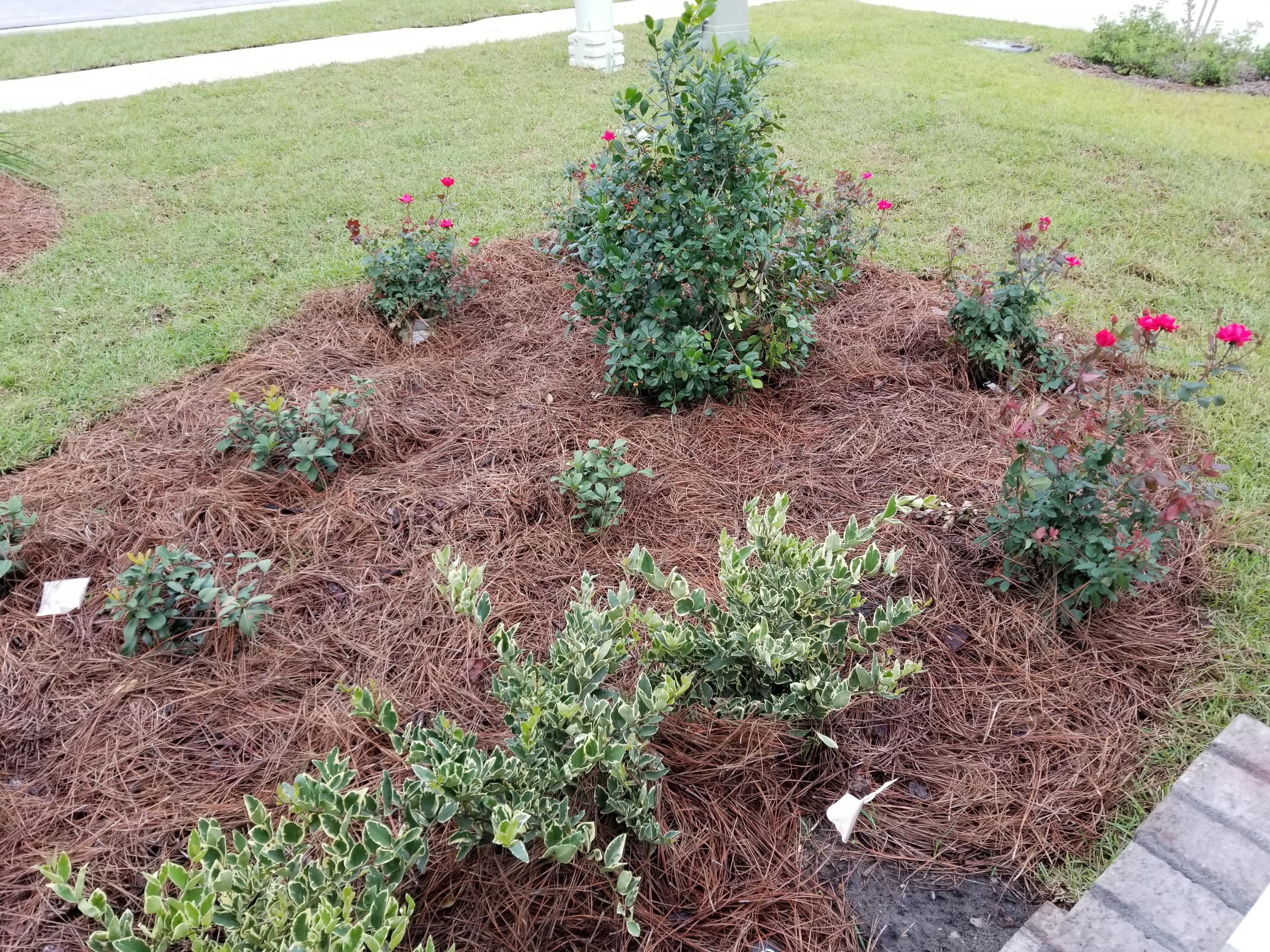 HAMMOCK BAY - CENTRAL PARK - Residential