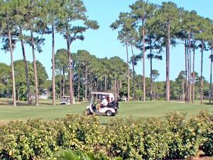 THE OAKS AT NICEVILLE - Residential