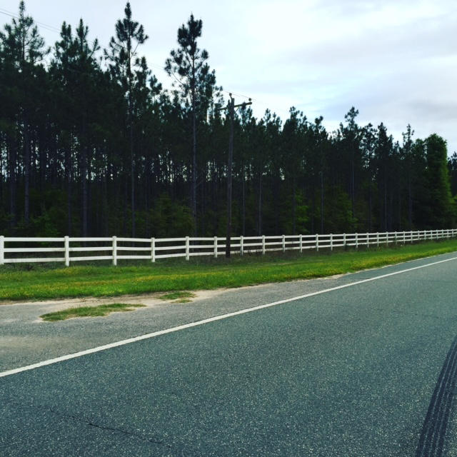Your chance to own 147.401 +/- acres in Altha, Flroida. Great property with 2 paved entrances - property was planned to be the Crossroads S/D which would consist of 28 residential lots. Property would also make a nice farm or recreation camp. There is a small pond on property.