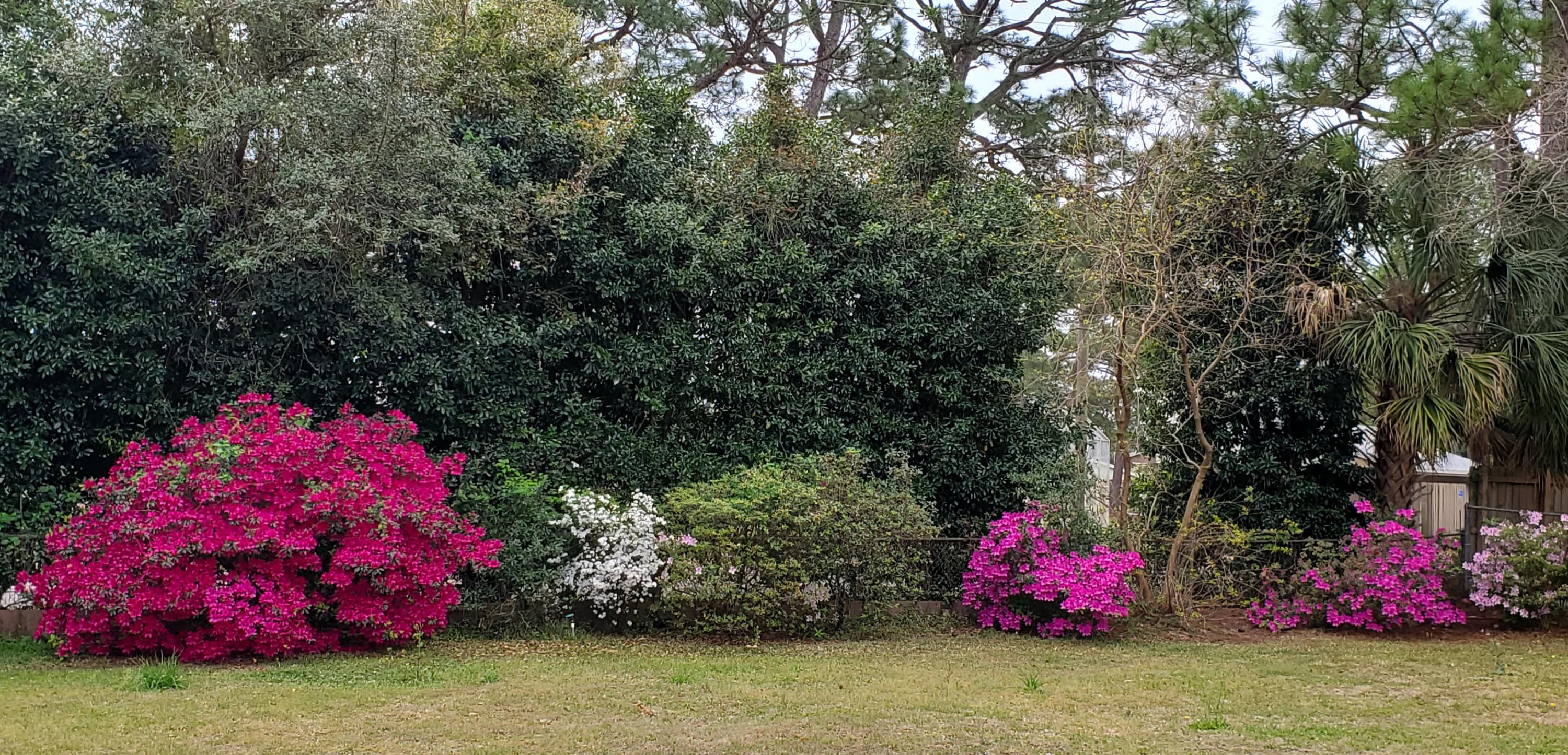 SANTA ROSA PARK - Residential