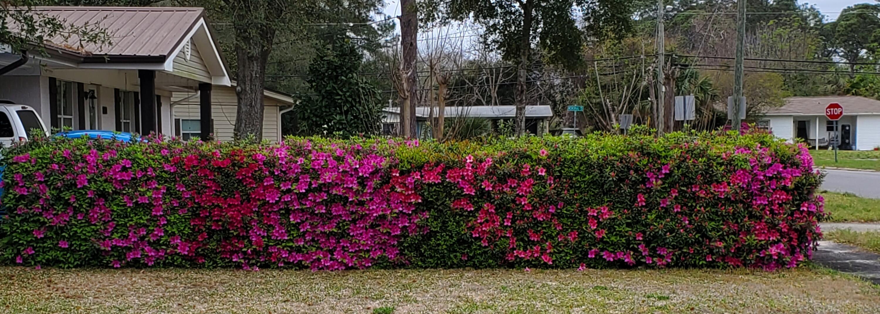 SANTA ROSA PARK - Residential