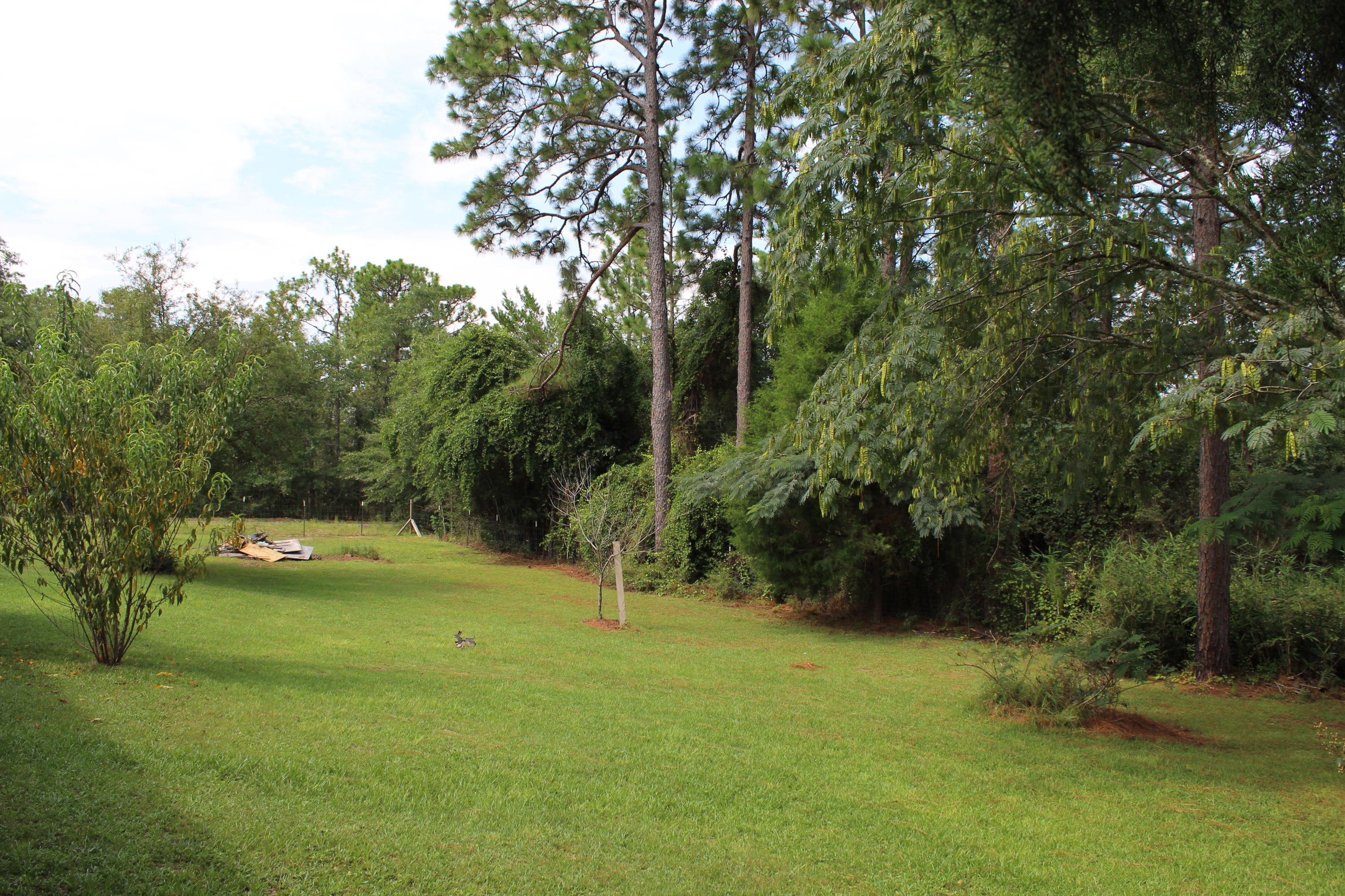 OAKWOOD HILLS UNIT 1 - Residential