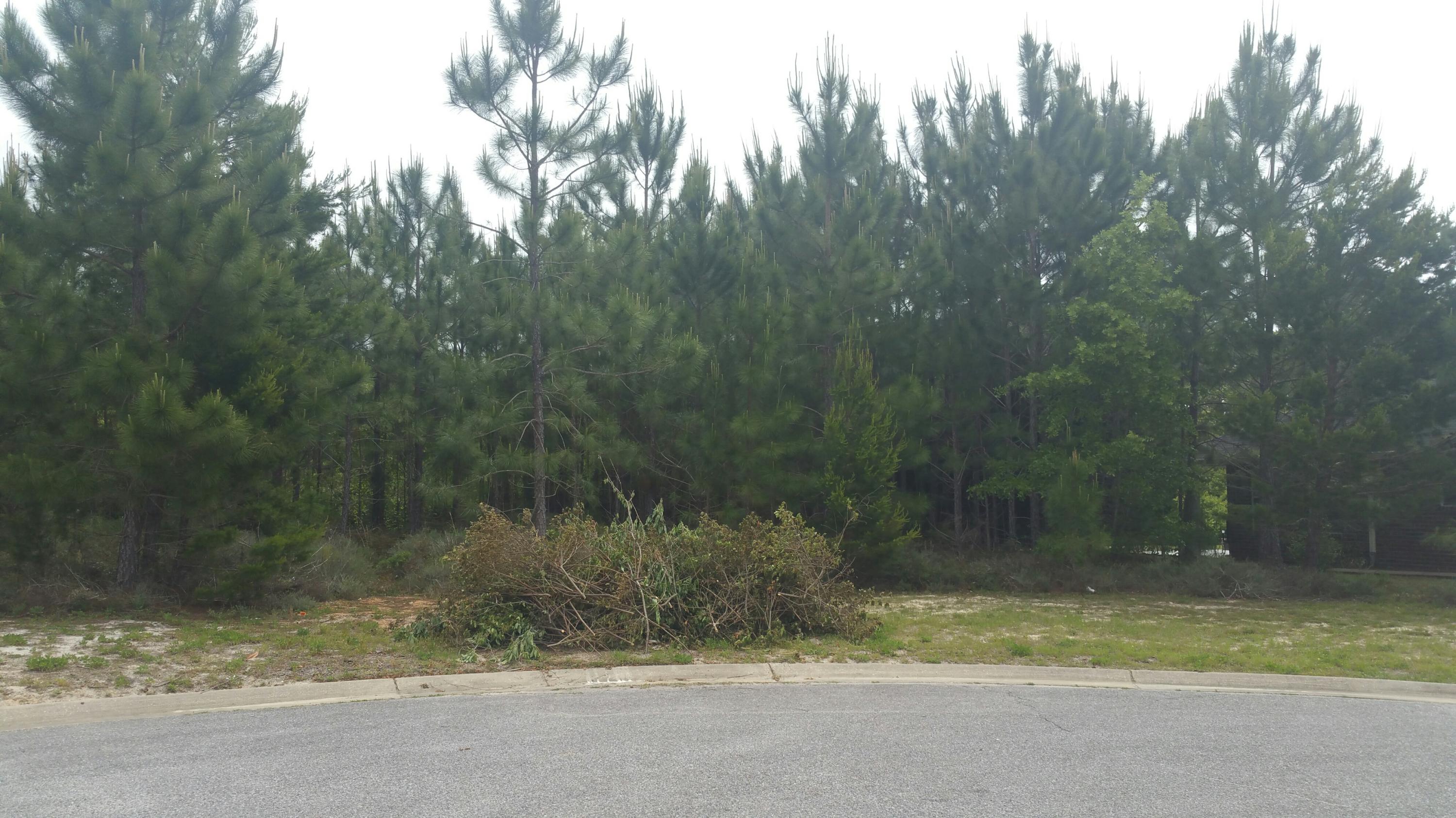 LIGHTHOUSE POINTE - Land