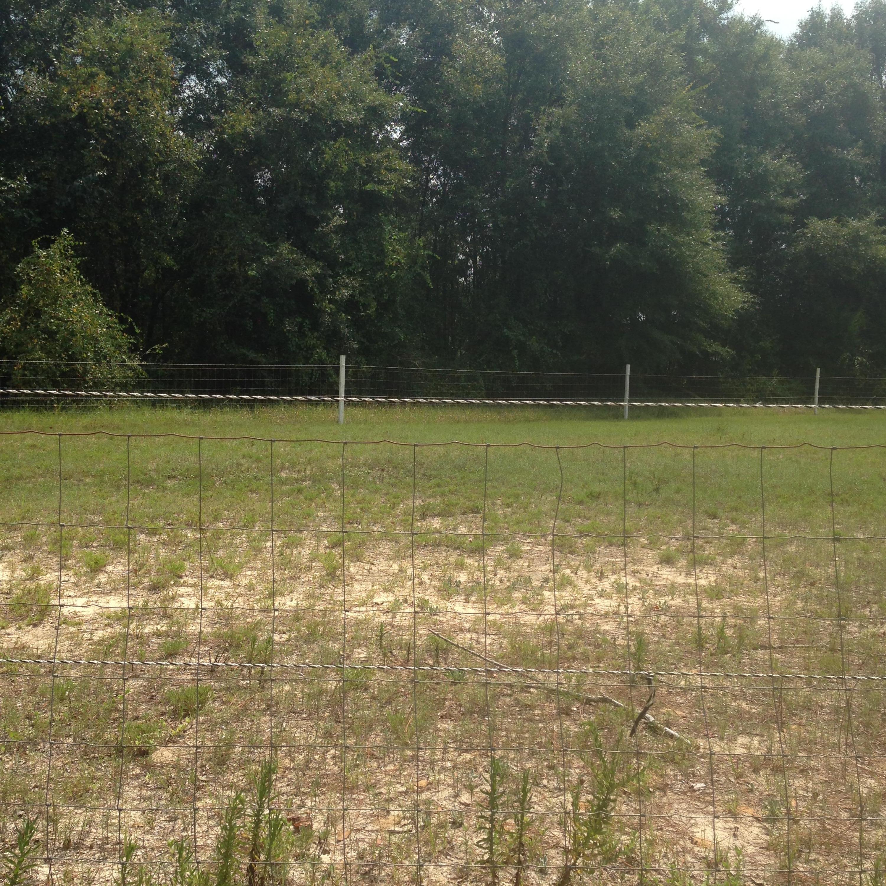 NONESUCH WAY - Residential