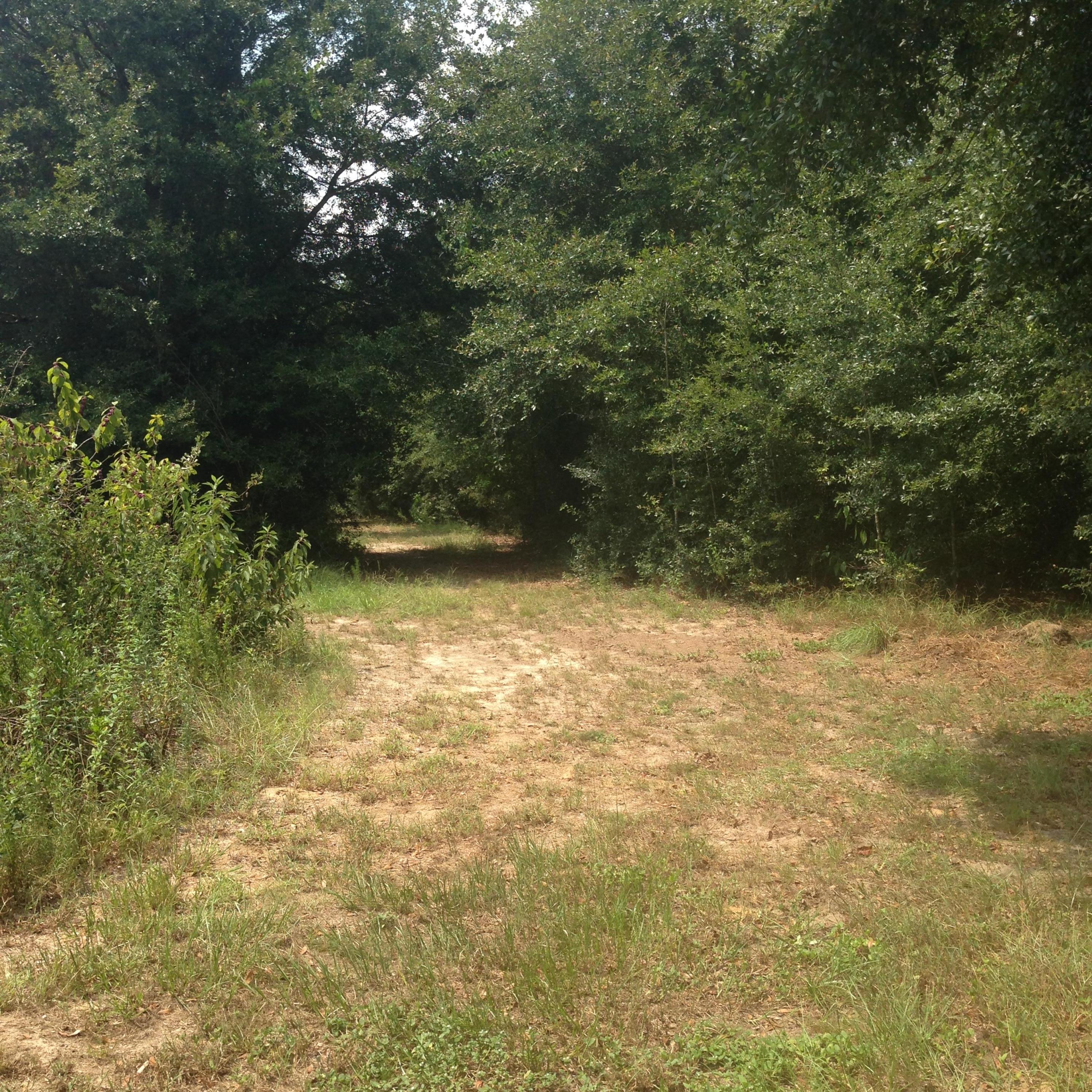 NONESUCH WAY - Residential