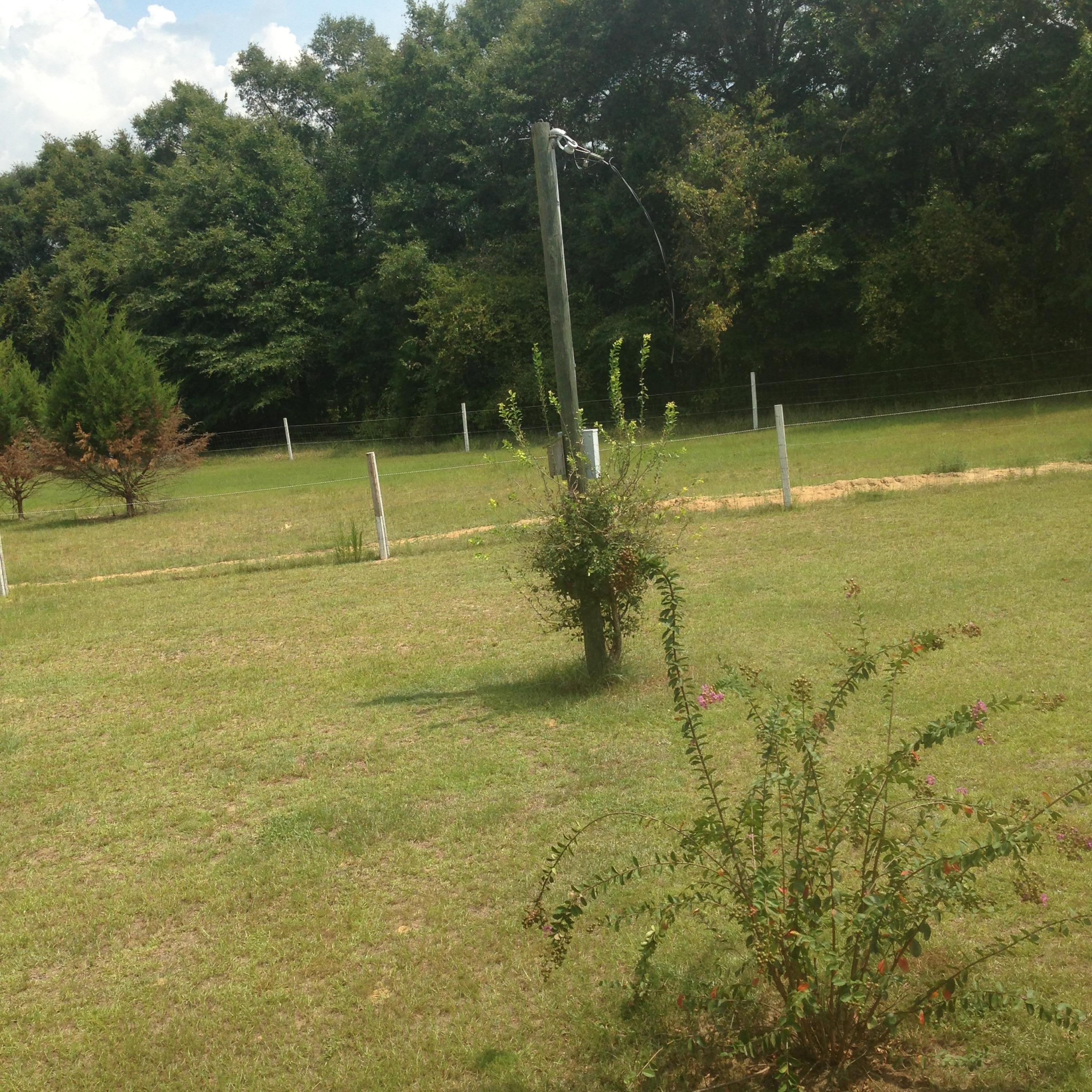 NONESUCH WAY - Residential