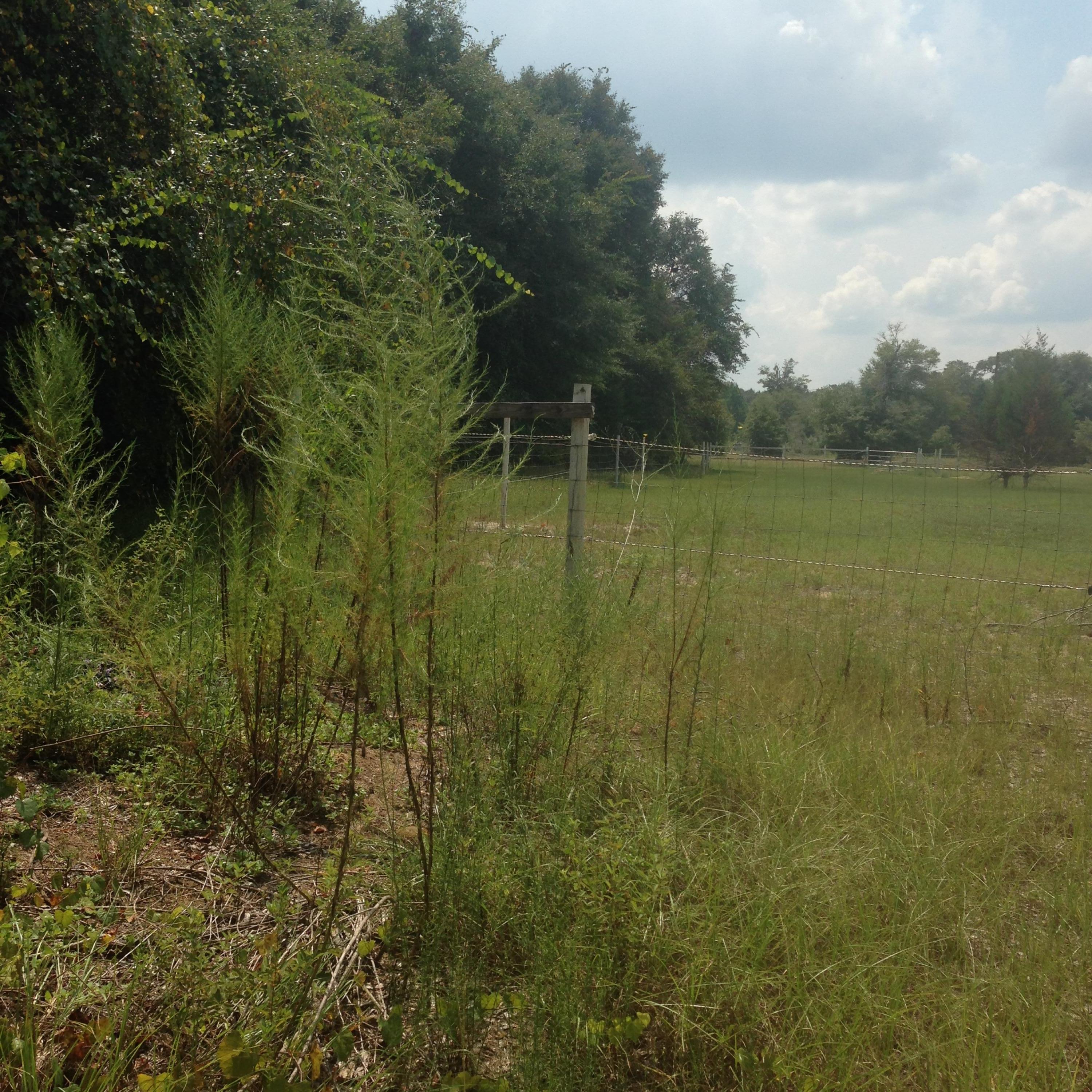 NONESUCH WAY - Residential