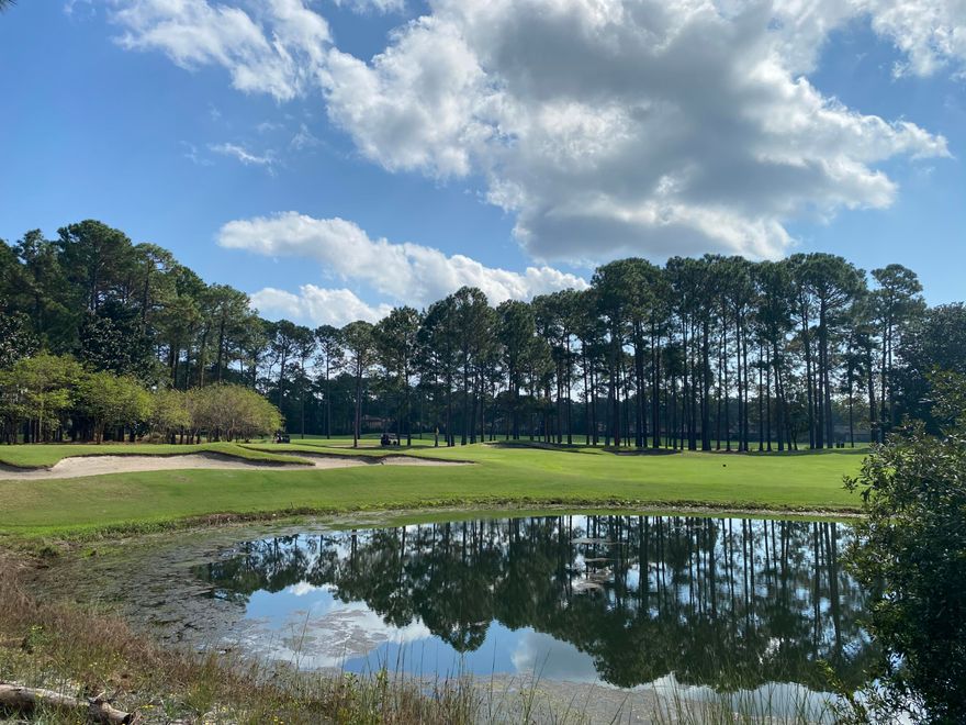 Remarkable estate-sized homesite in the exclusive, gated community of Burnt Pine at Sandestin Golf and Beach Resort! Enjoy views of the #14 hole on the Raven Golf Course and a beautiful lake surrounding the back of the homesite. The perfect place to build your dream home! Located conveniently among our beautiful white sand beaches, 4 award winning Championship golf courses, a fantastic tennis center, a 113 slip full service marina, and many hiking and biking trails. Grand Boulevard with its plethora of dining, shopping, and play is also short golf cart ride away. Come enjoy all the many things Sandestin has to offer!