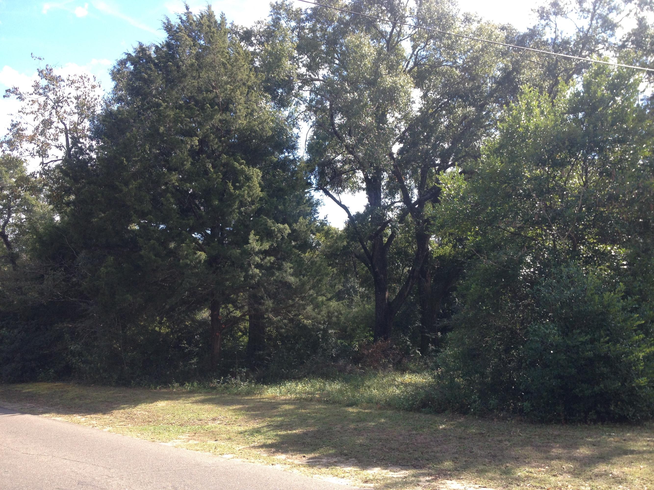 MORRIS ADDN TO CRESTVIEW - Land