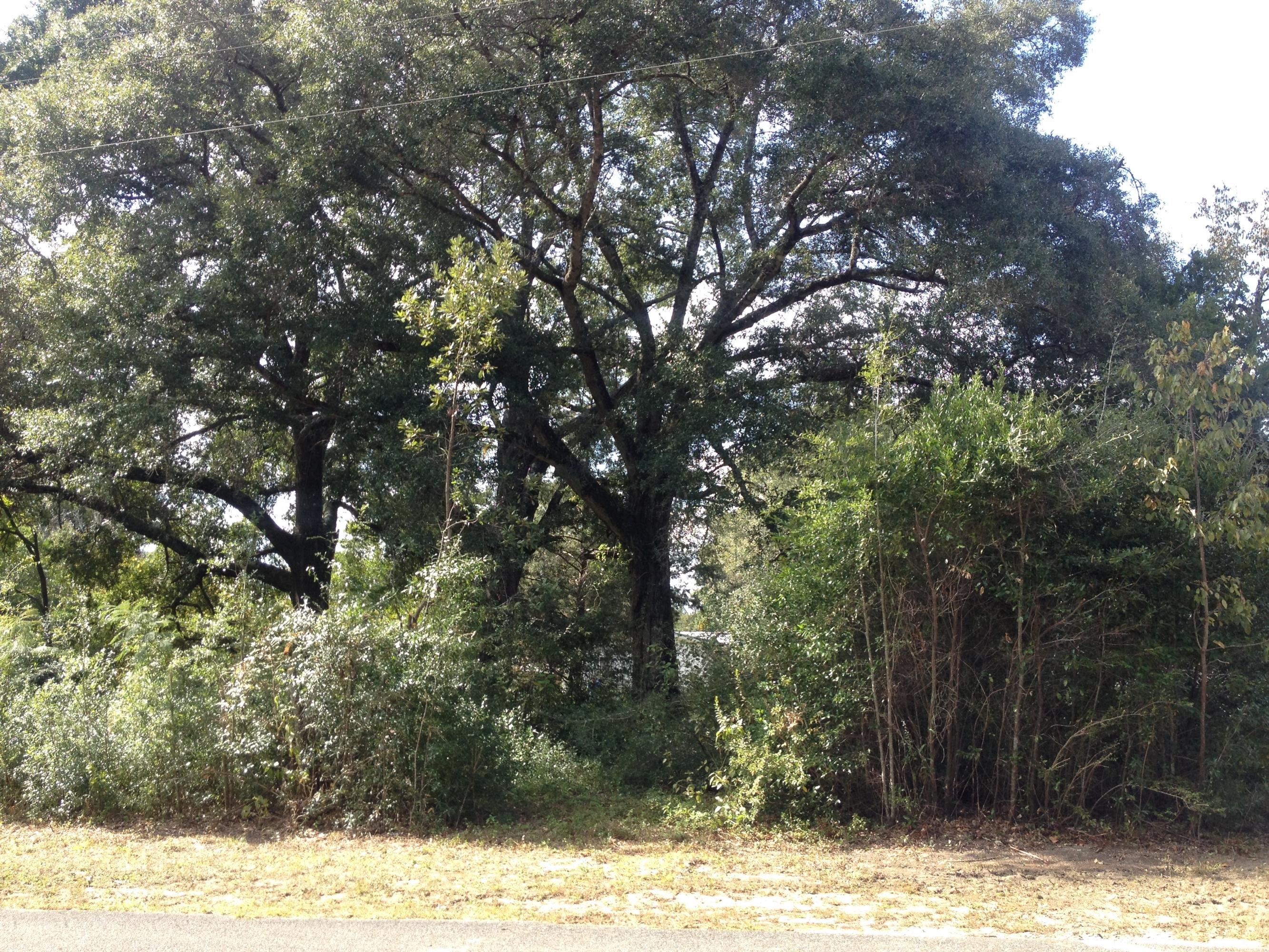 MORRIS ADDN TO CRESTVIEW - Land