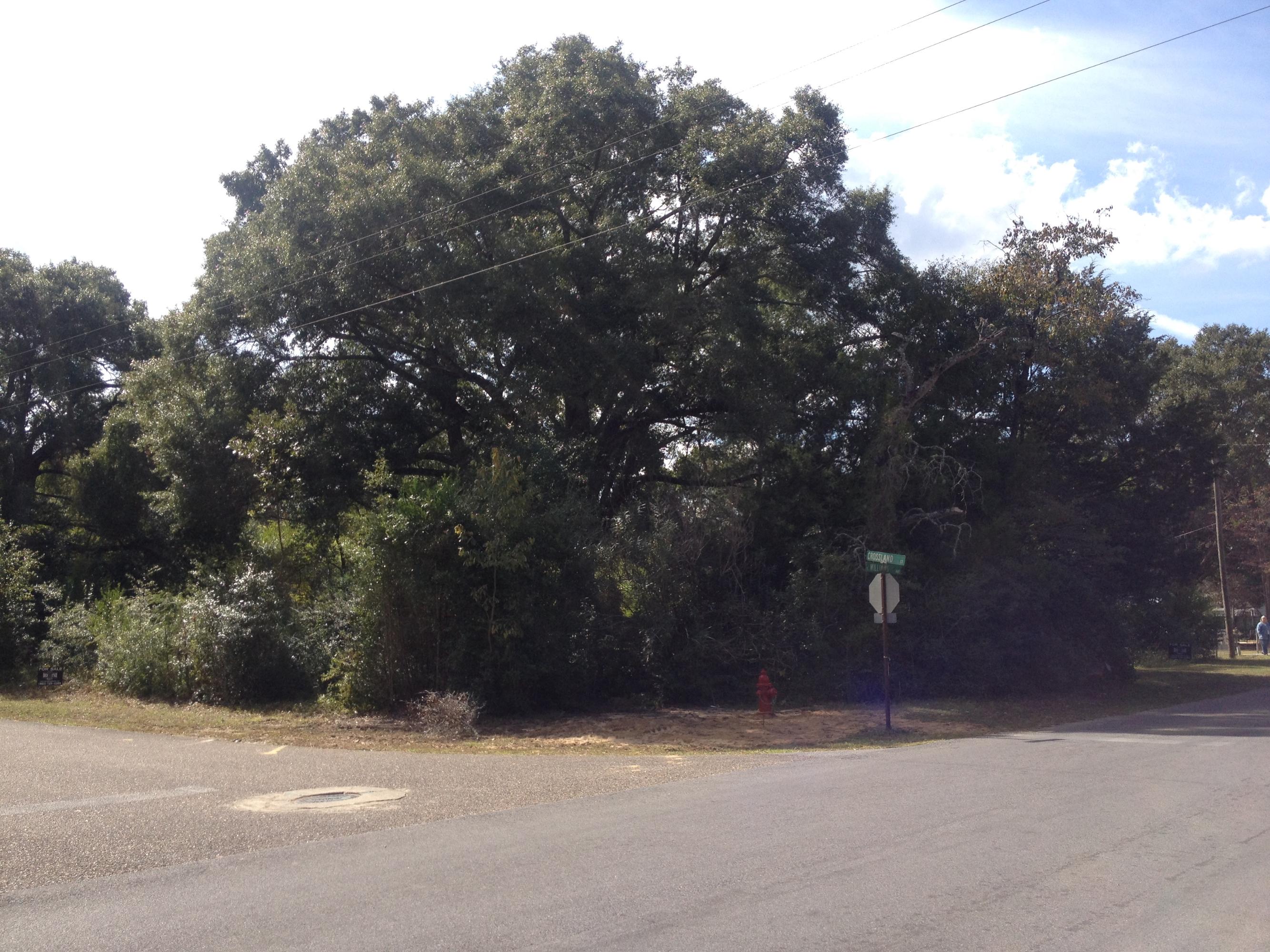 MORRIS ADDN TO CRESTVIEW - Land