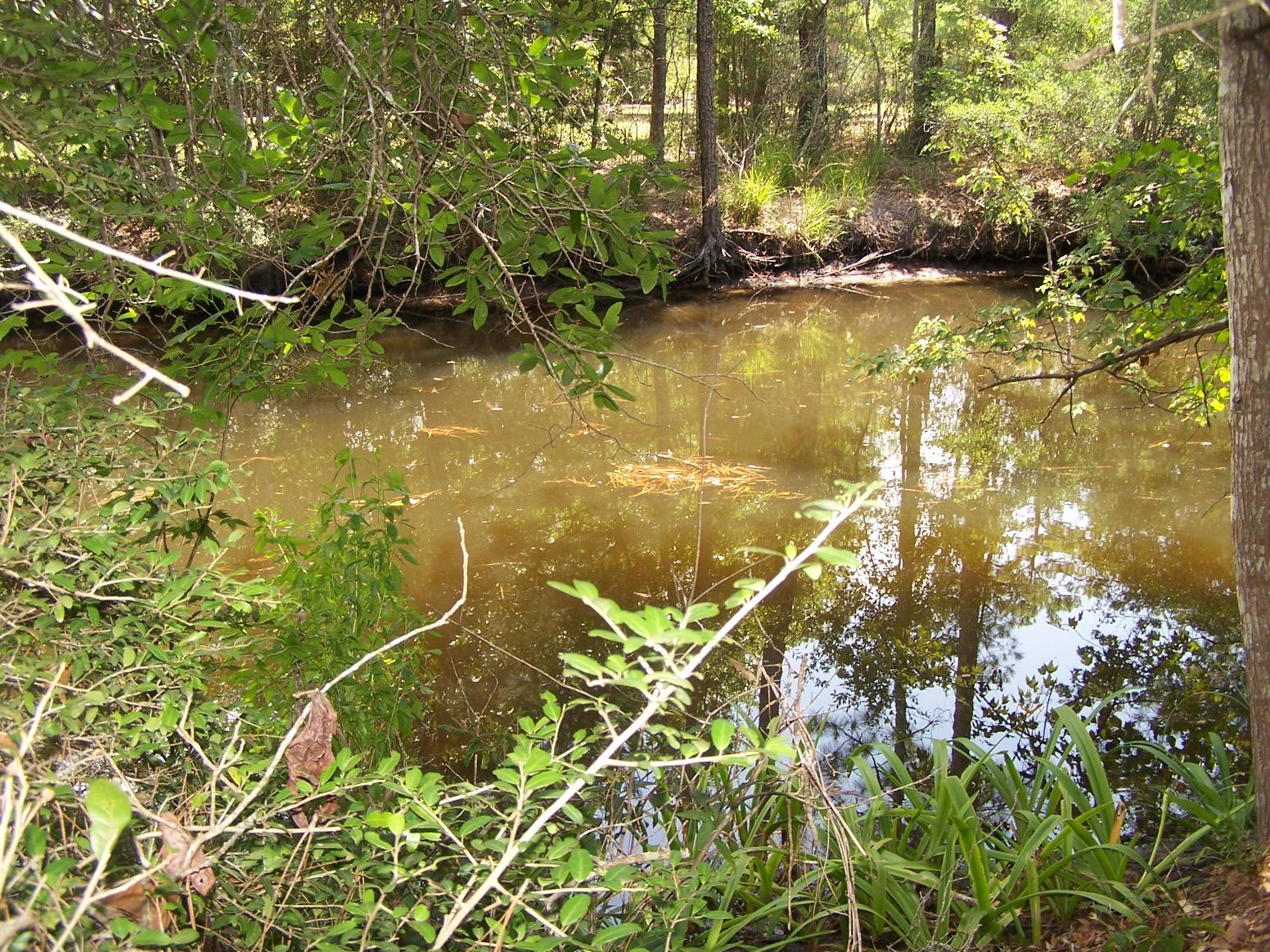 BAYSHORE RESORT UNREC - Land