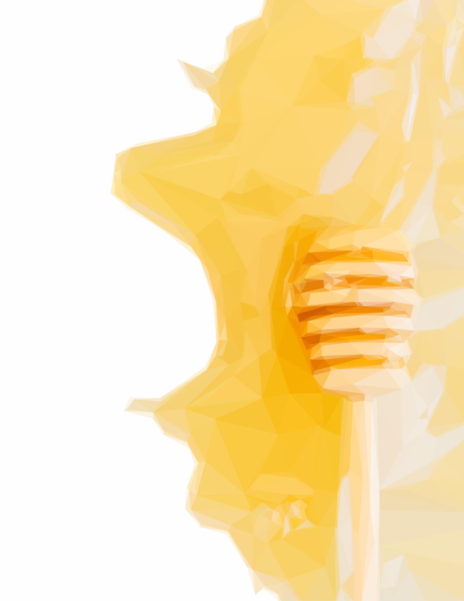 BEAR CREEK - Residential