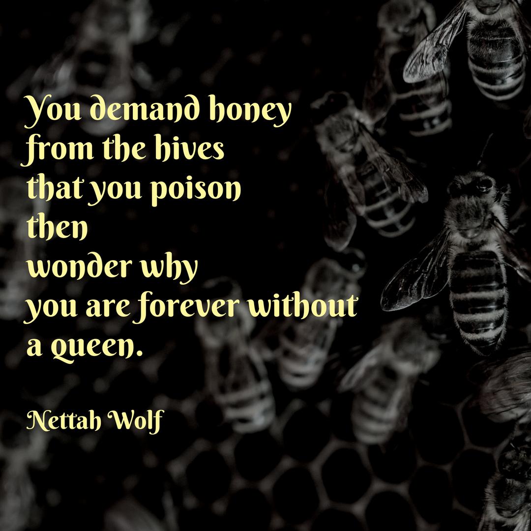 BEAR CREEK - Residential