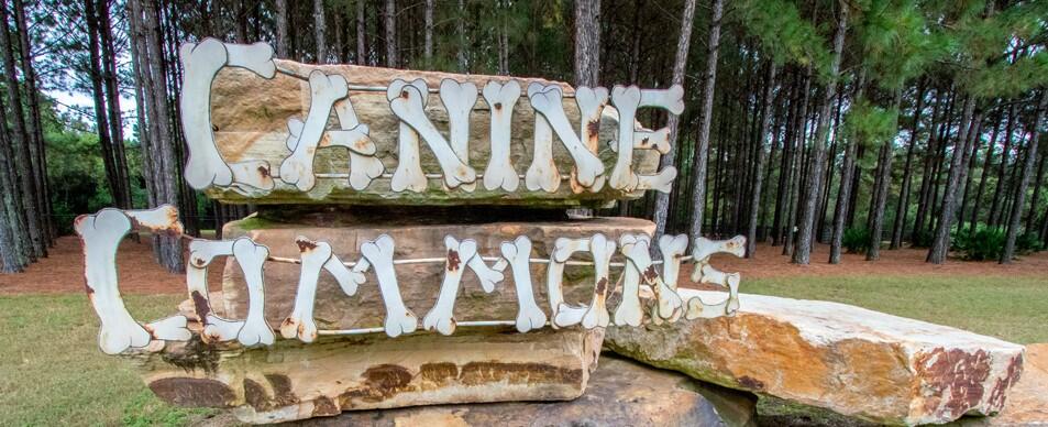 SYMPHONY AT HAMMOCK BAY - Land