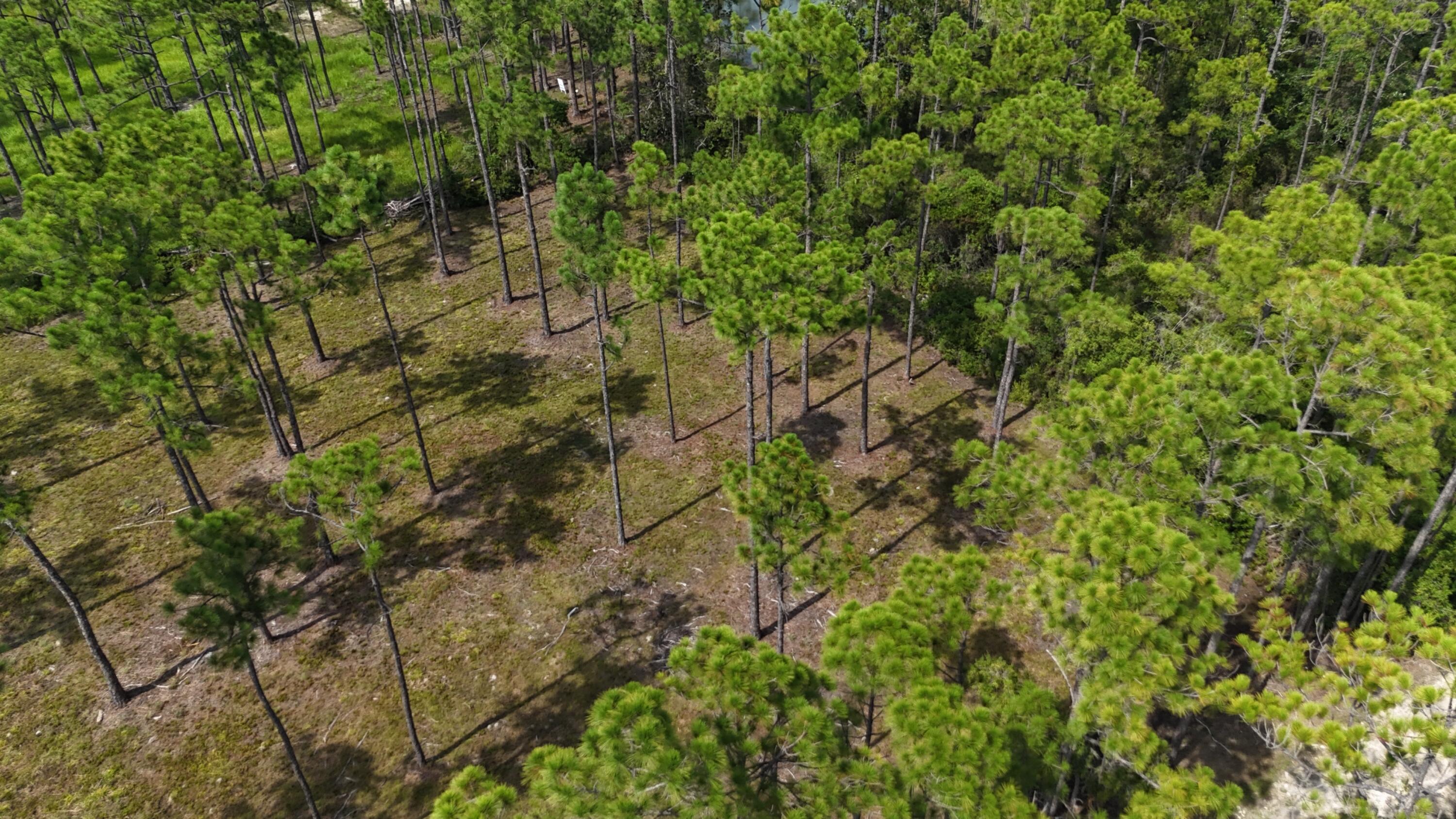 FOXMIRE FARMS UNREC - Land