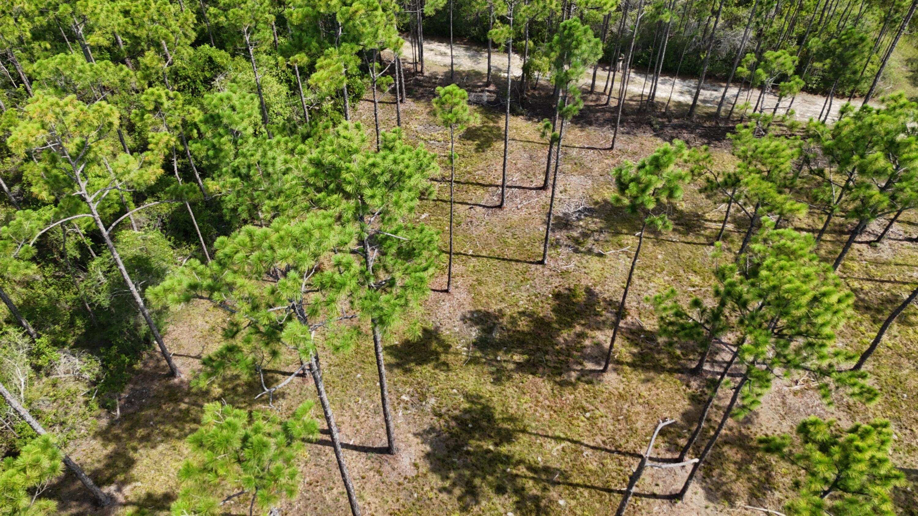 FOXMIRE FARMS UNREC - Land