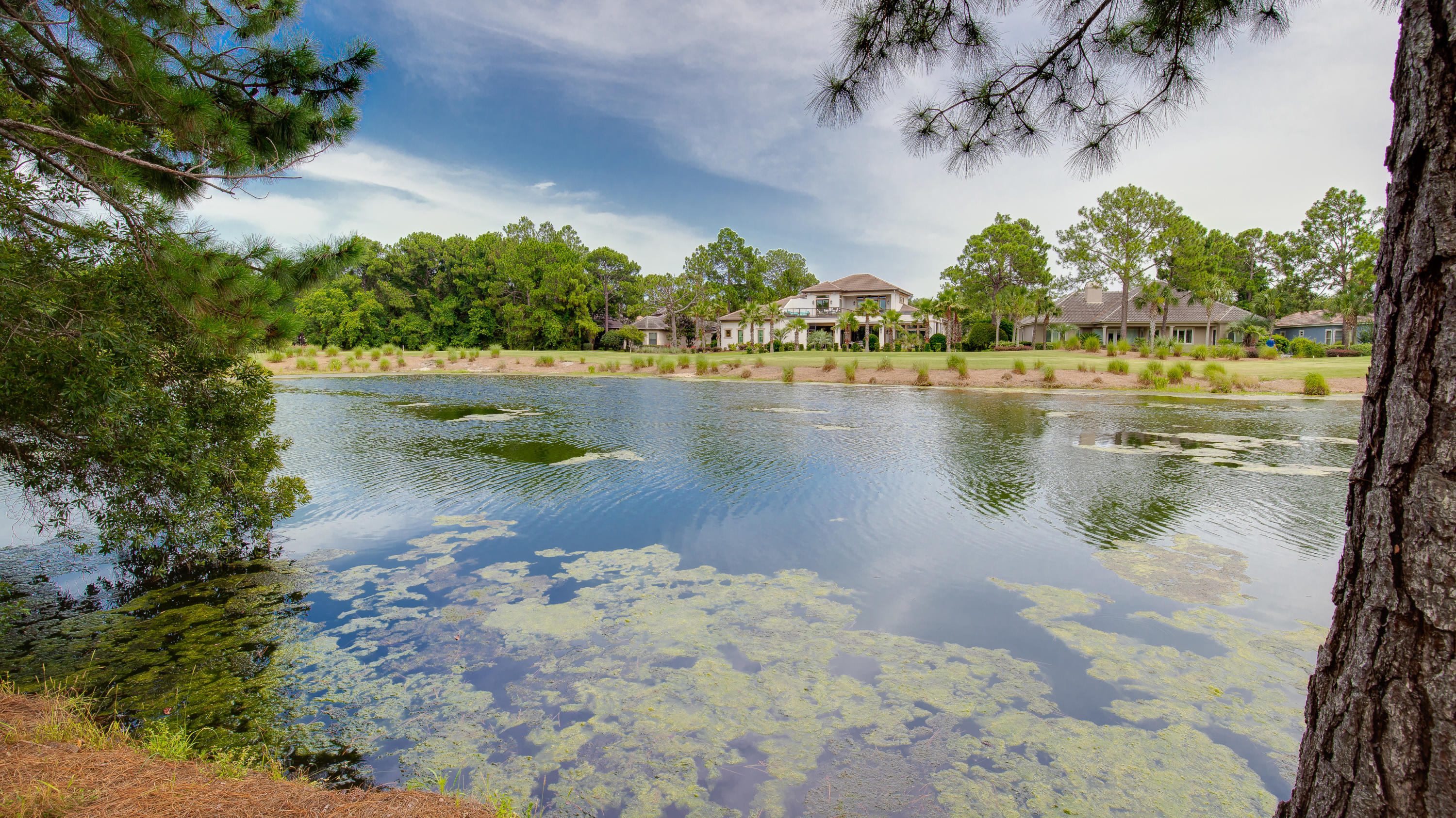 LAUREL GROVE - Residential