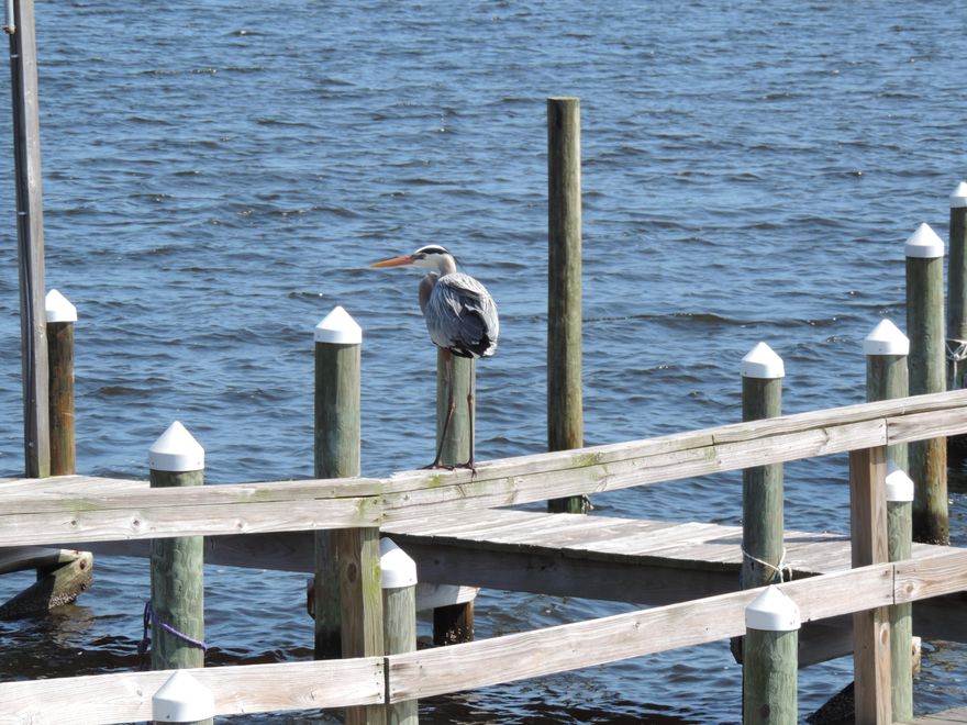 WATERFRONT COMPLEX! Tile in Living Areas! Newer Carpet in Bedrooms! Fountainhead Condominiums are conveniently located to Hurlburt Field and also the beautiful beaches on Okaloosa Island! The complex features a sound side pool, tennis court and lush landscaping. Restaurants are within walking distance! Call for more information.