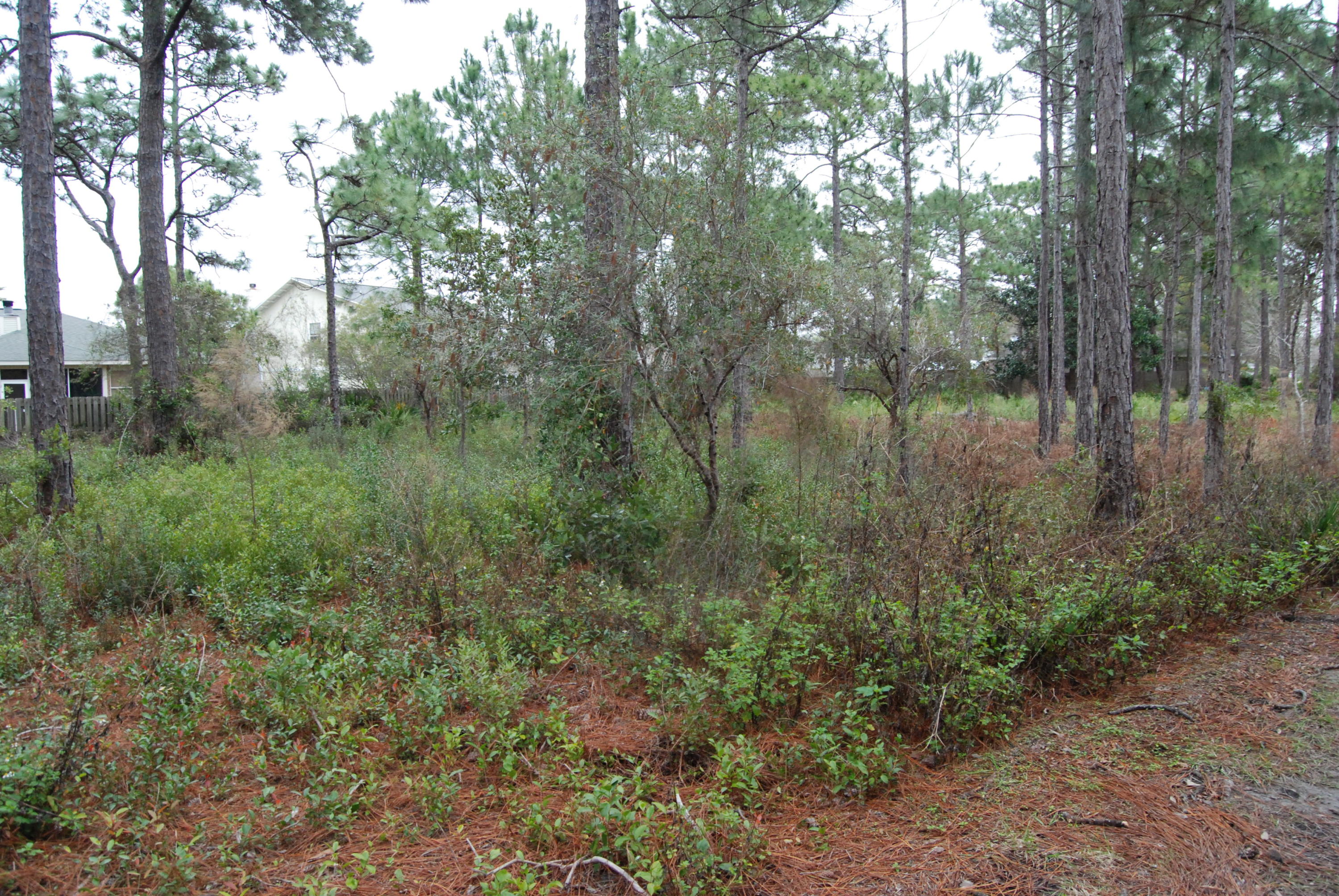 SUGAR COVE ESTATES - Land