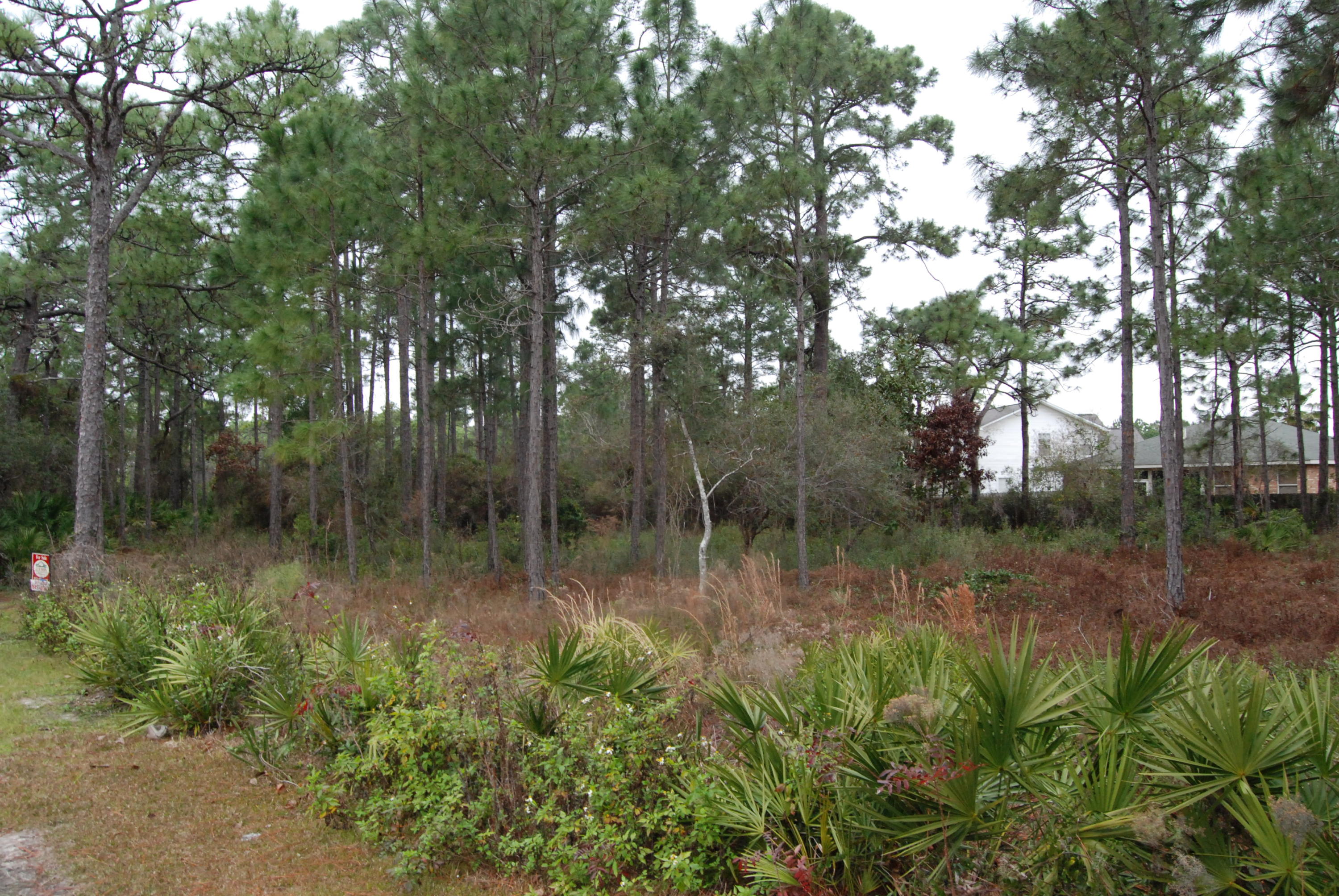 SUGAR COVE ESTATES - Land