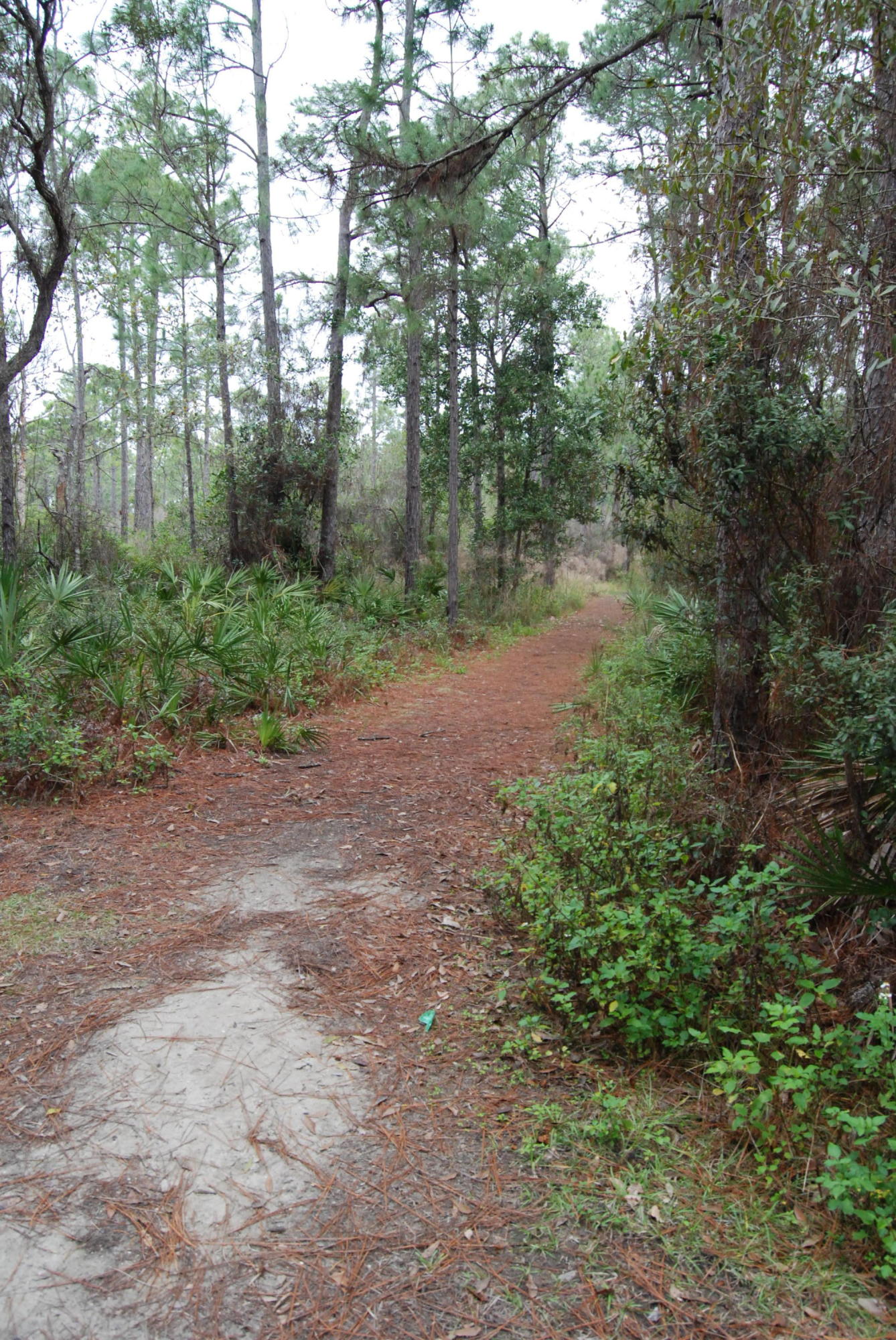 SUGAR COVE ESTATES - Land