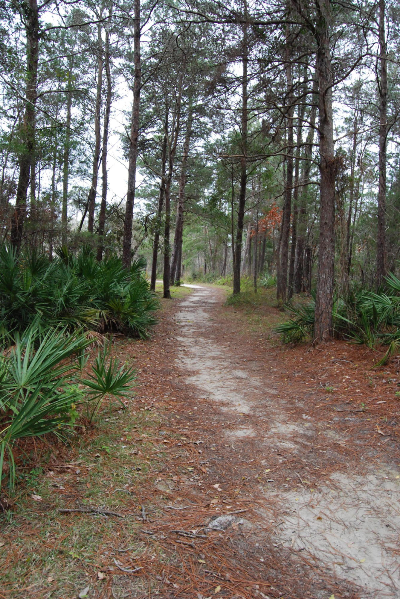 SUGAR COVE ESTATES - Land