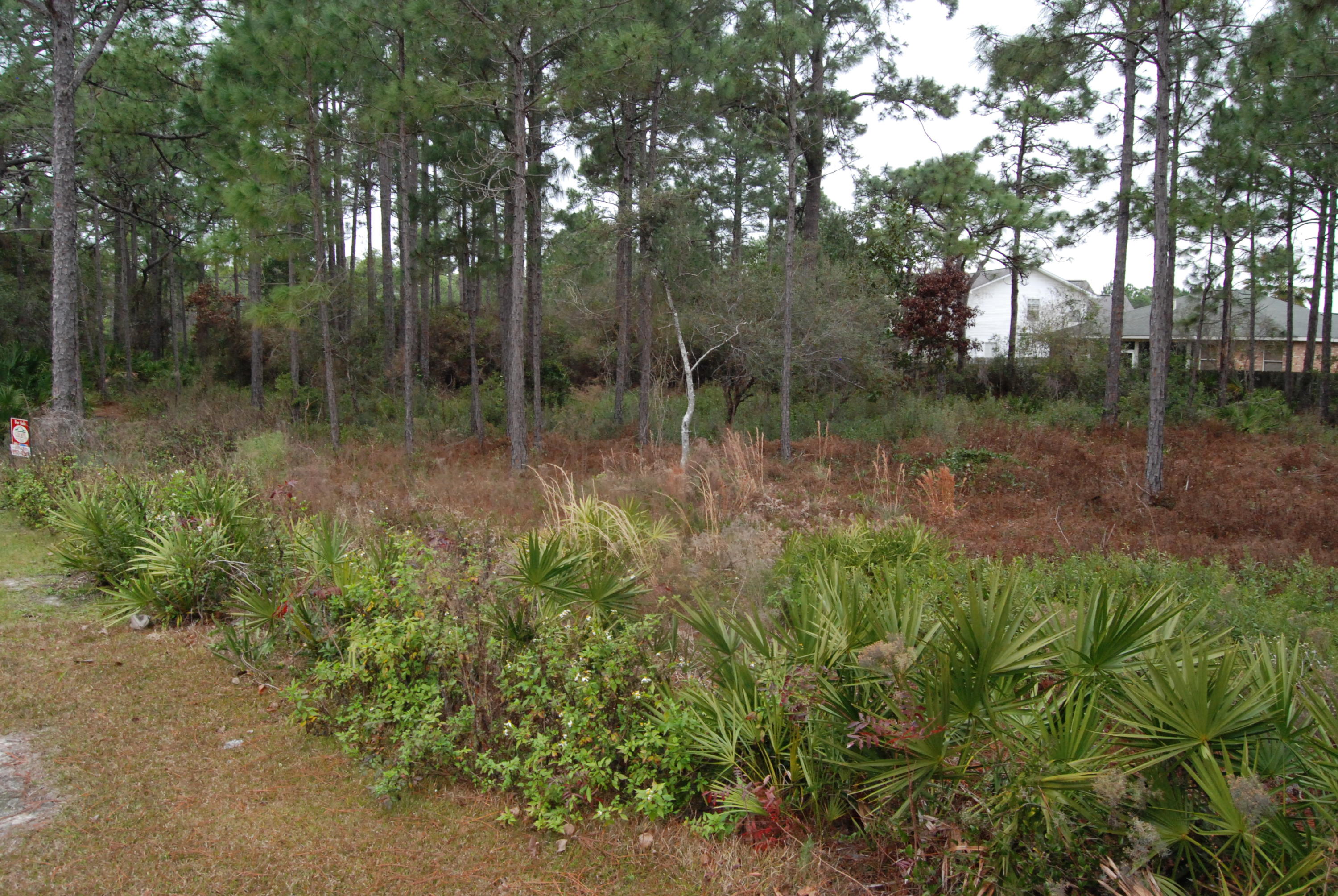 SUGAR COVE ESTATES - Land