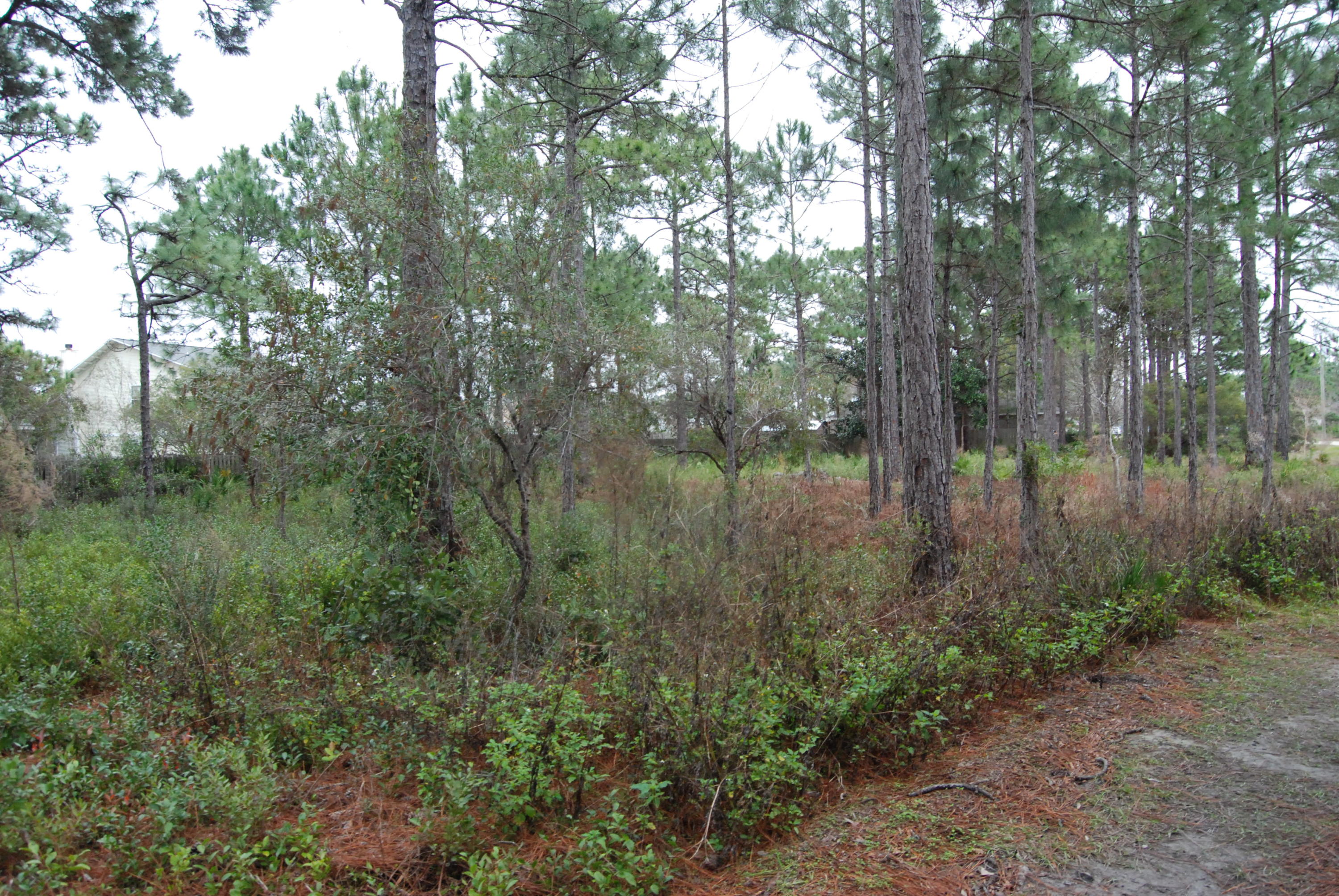 SUGAR COVE ESTATES - Land