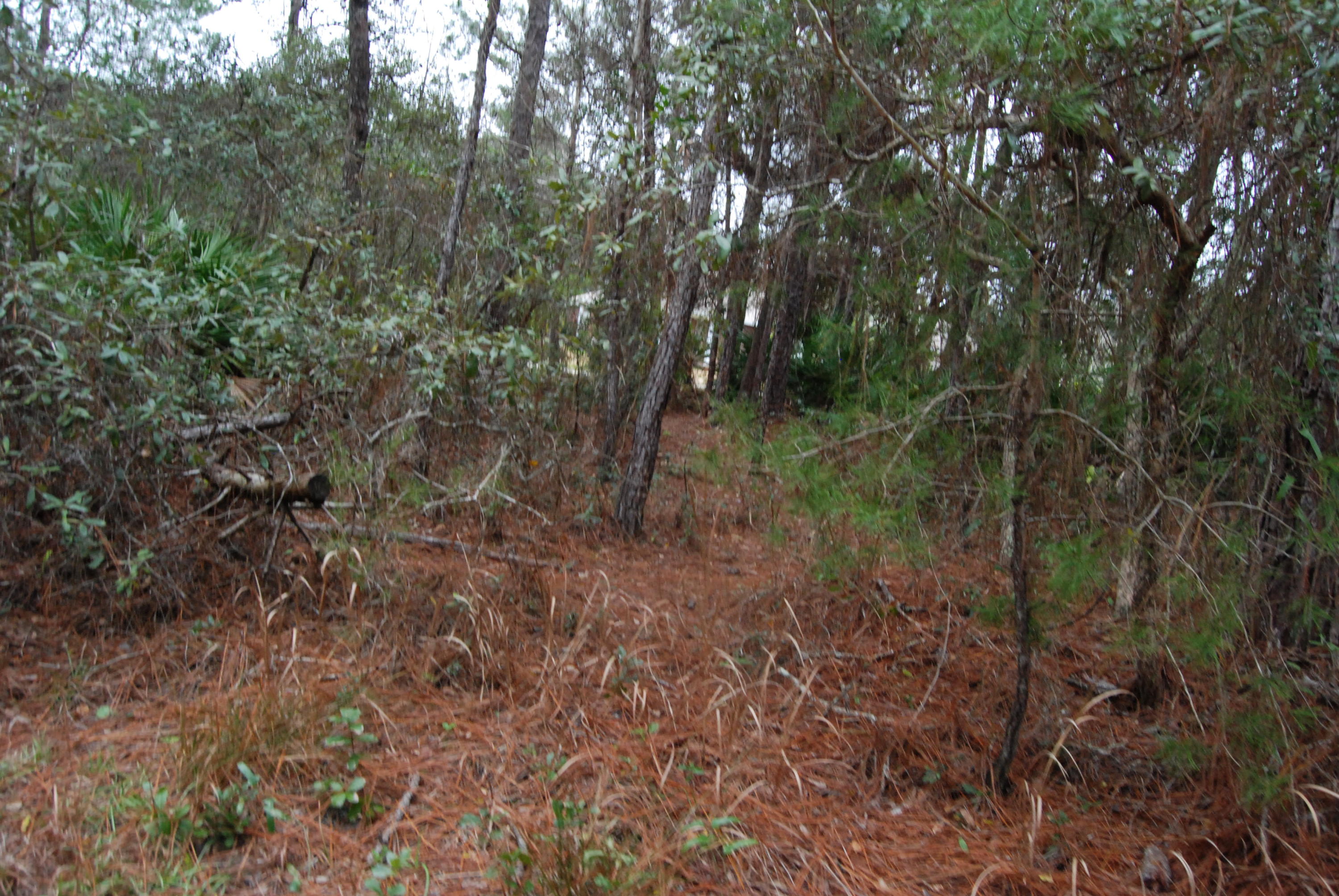 SUGAR COVE ESTATES - Land