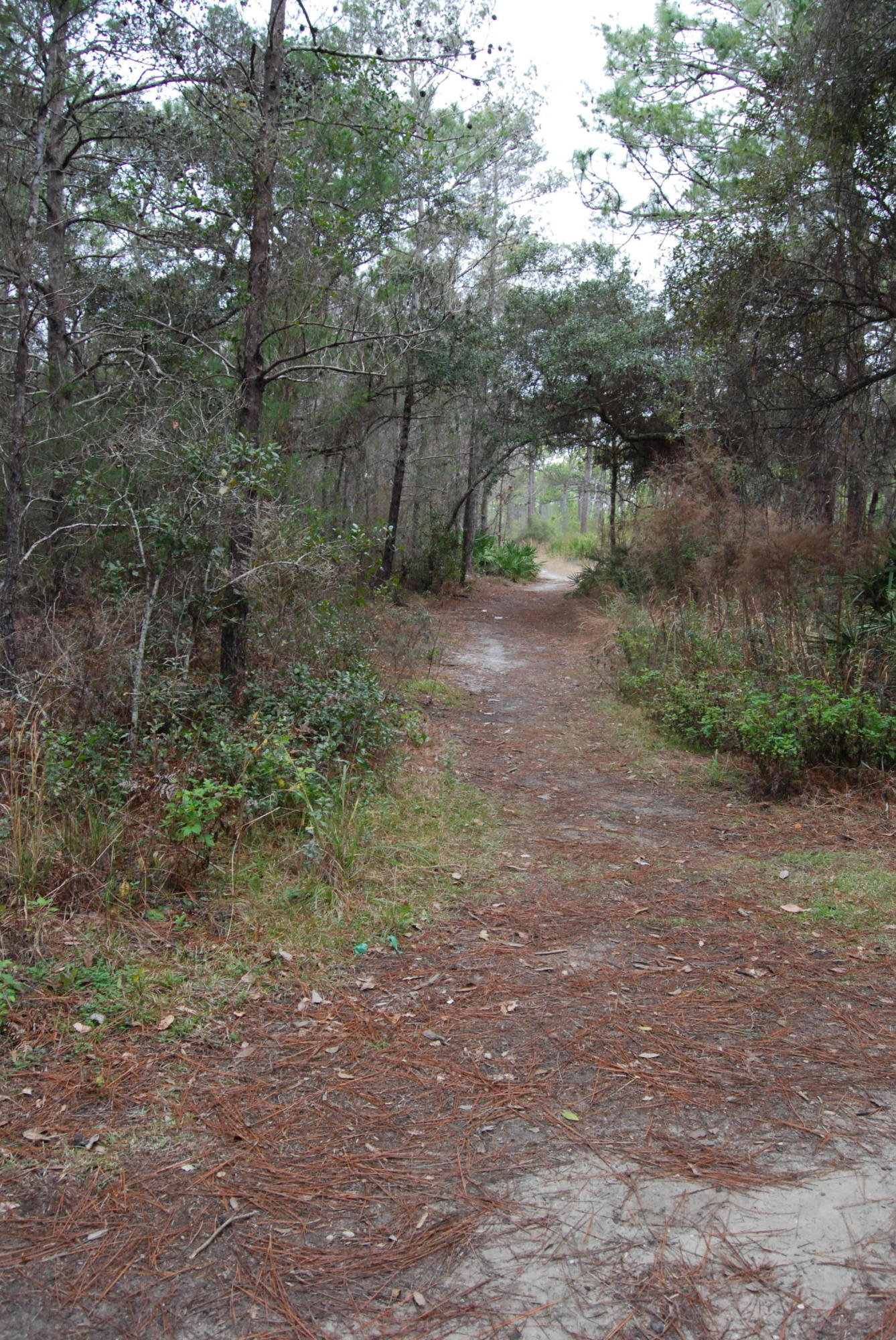 SUGAR COVE ESTATES - Land