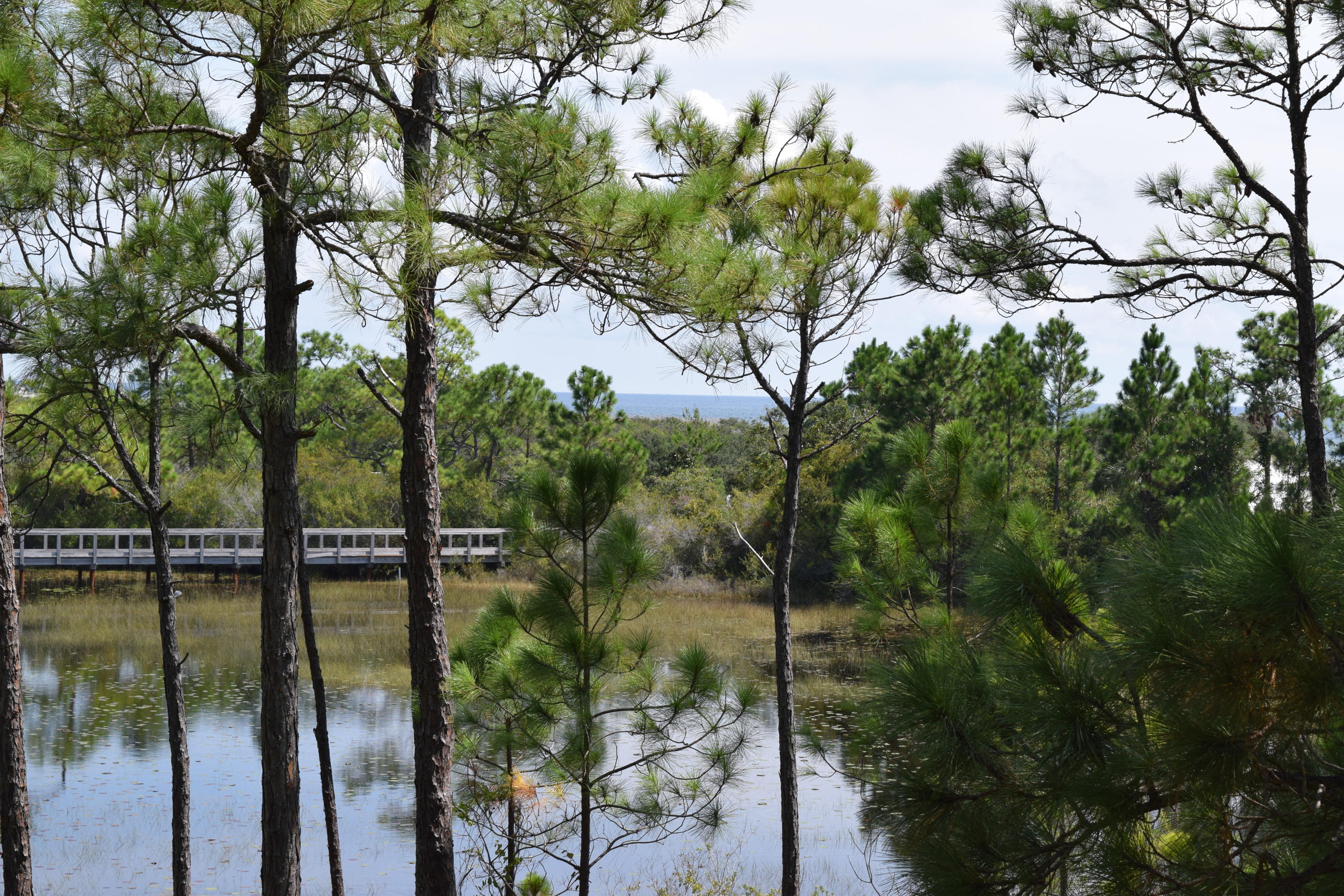 Gorgeous Gulf and Lake view home south of 30A and easy walk to the beach. Long term rental! A secluded 3 bdrm. 3 1/2 bath, furnished, single family home with priceless lake frontage, beautiful Gulf views. There's a wide open kitchen/dining/living area with fire place and hardwood floors overlooking the lake. Stainless steel appliances and granite kitchen counters provide a modern touch! Offering 2 master suites, each with its own porch/balcony. The third floor master suite has its own private deck and stunning Gulf views. Relax watching the wildlife and marvel at the ocean, whilst nestled amidst pines and magnolias bordered by Deer Lake State Park. Enjoy decks on all 3 stories, perfect for your summer grilling or an evening glass of wine. There's even a garage for your car & beach toys