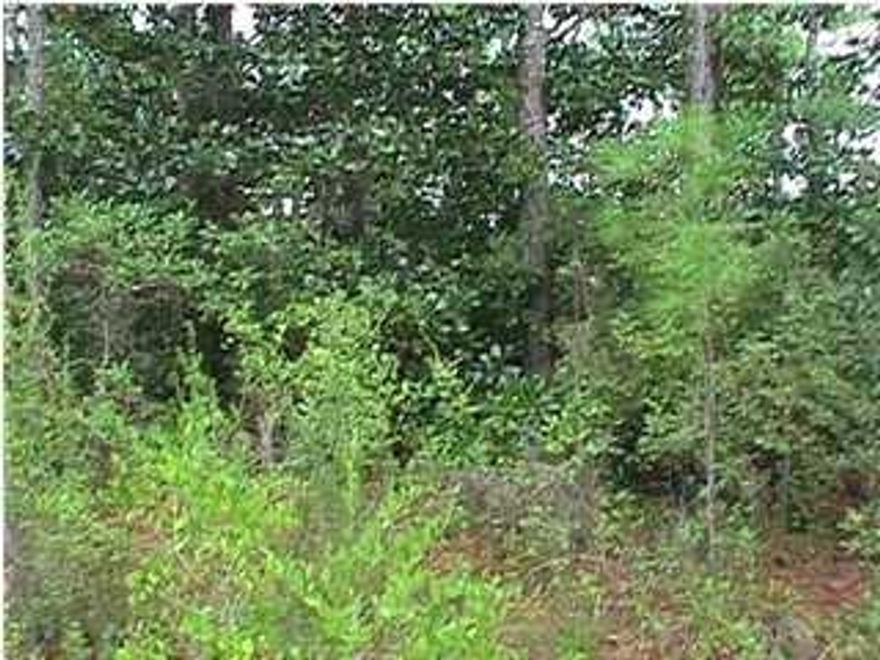 Beautiful lot with huge moss covered oak trees, ready to build your dream home. Subdivision is restricted by deed no mobile homes and the county has allocated money to pave roads.