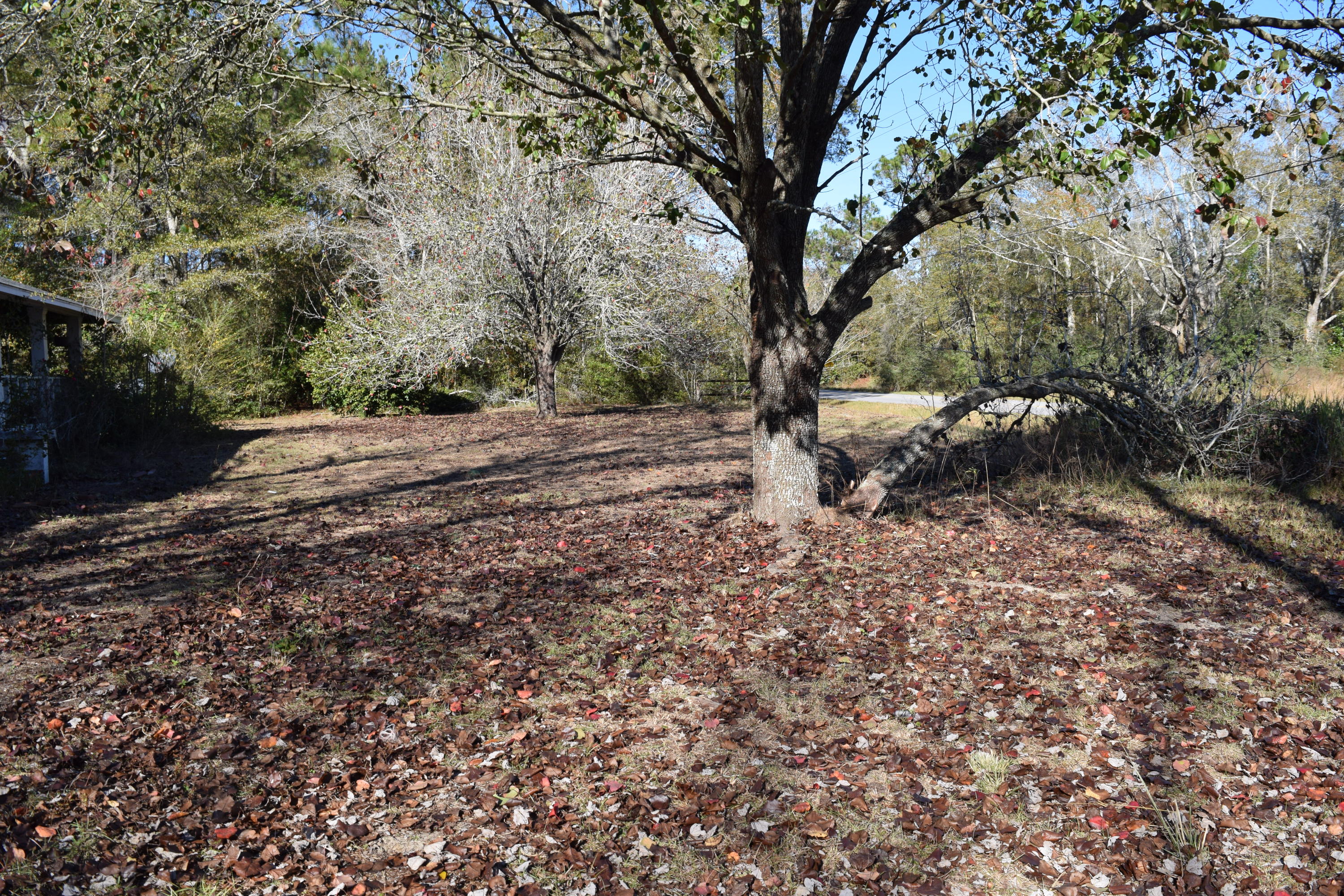 DEFUNIAK SPRINGS TOWN OF - Residential