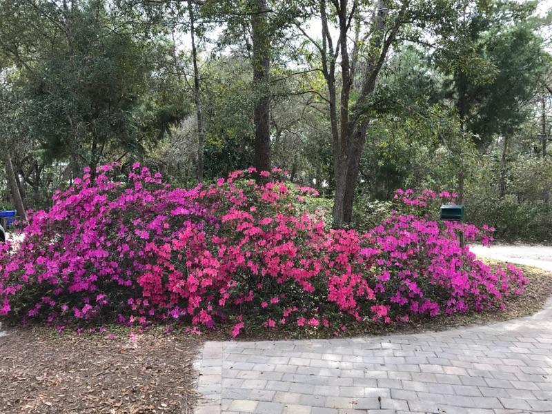 SEAGROVE 5TH ADDN - Residential