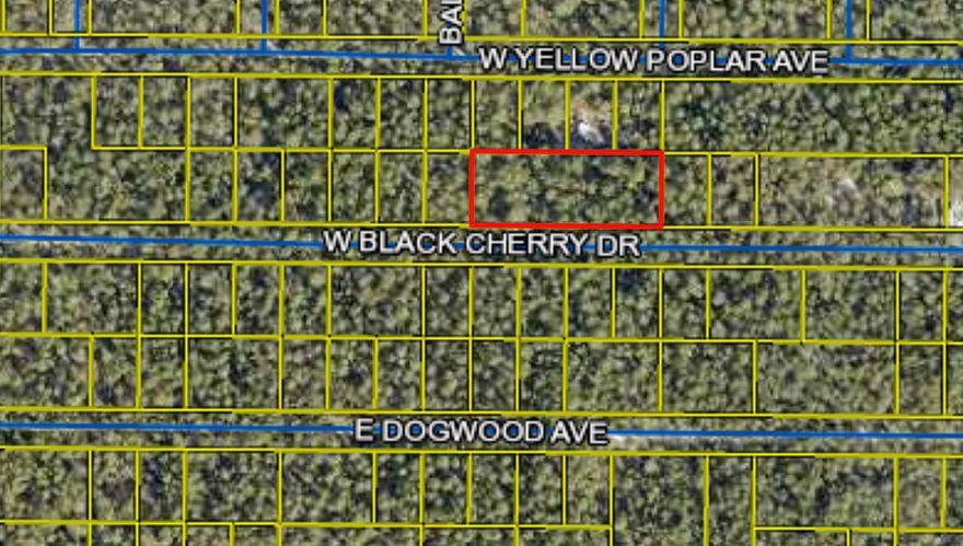 Beautiful lot in the Mossy Head area. This lot is 81 x 125 and .23 ac. Lightly wooded lots located minutes to downtown Defuniak Springs and also I-10 in Mossy Head. No utilities currently on lot